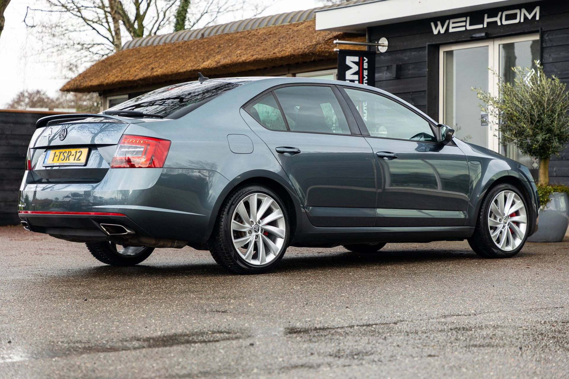 Hoofdafbeelding Škoda Octavia