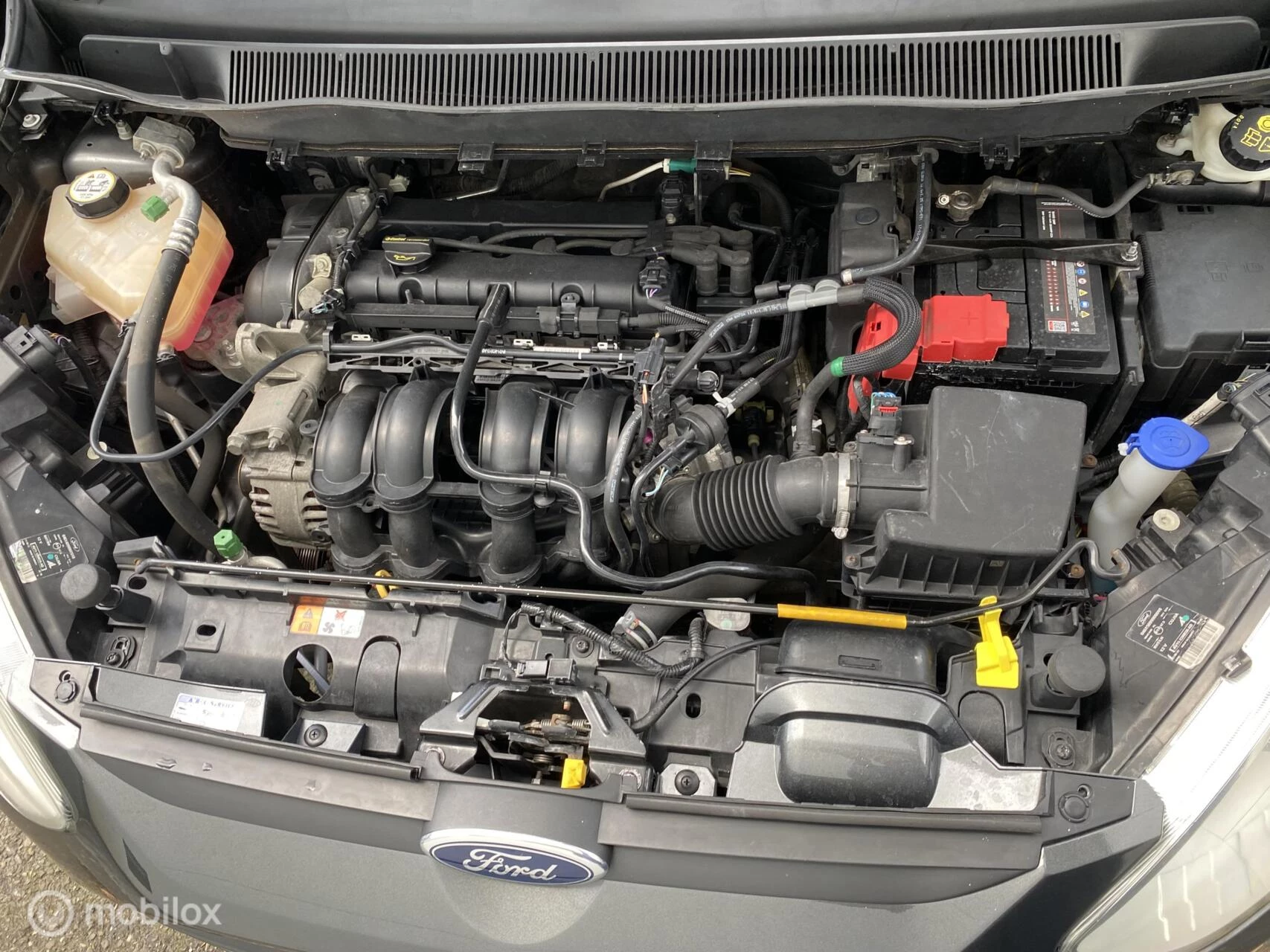 Hoofdafbeelding Ford B-MAX