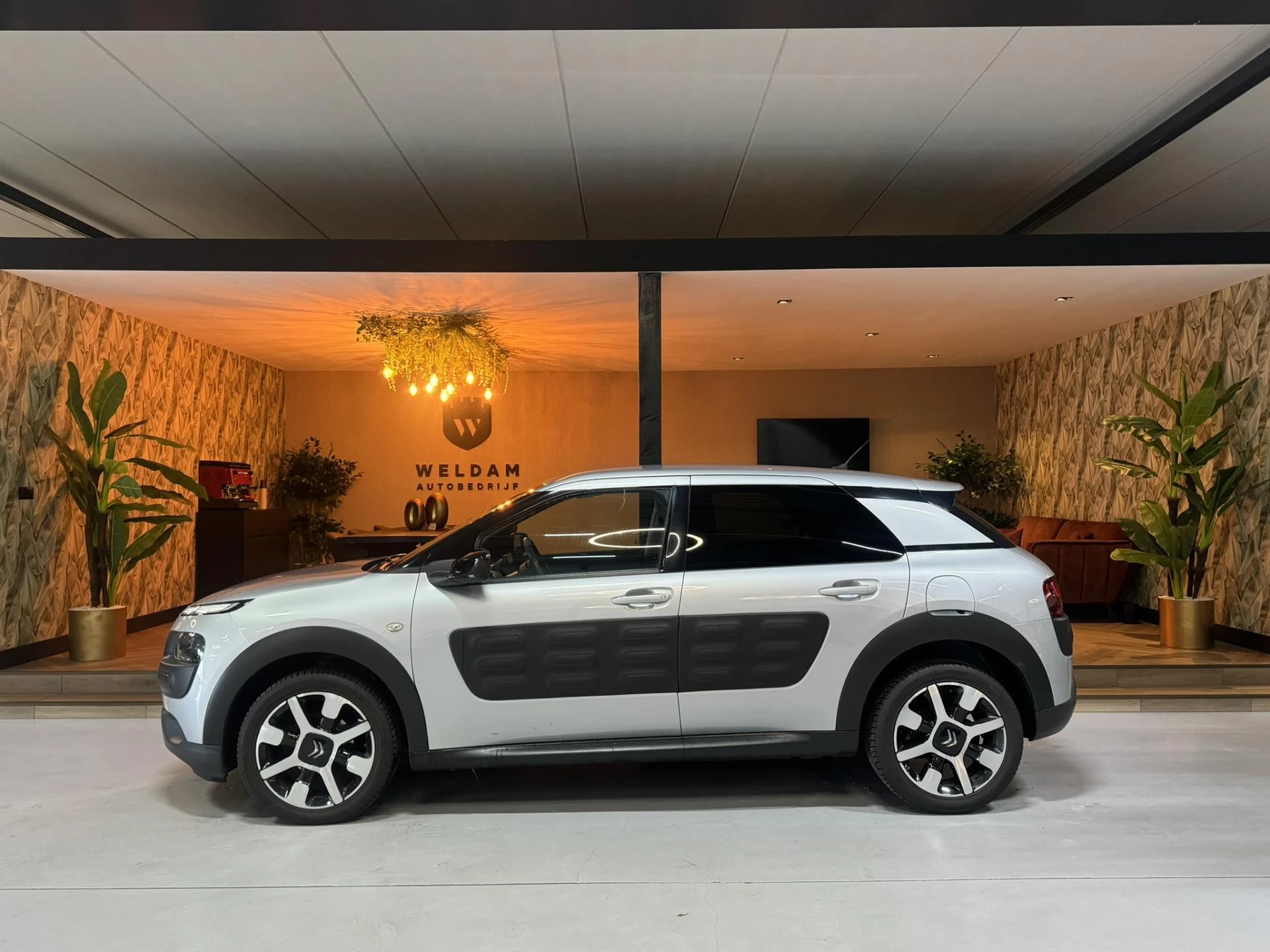 Hoofdafbeelding Citroën C4 Cactus