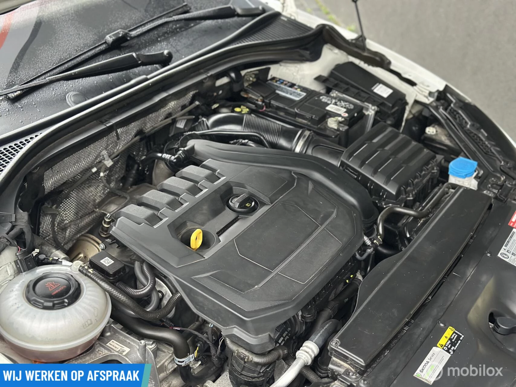 Hoofdafbeelding Škoda Superb