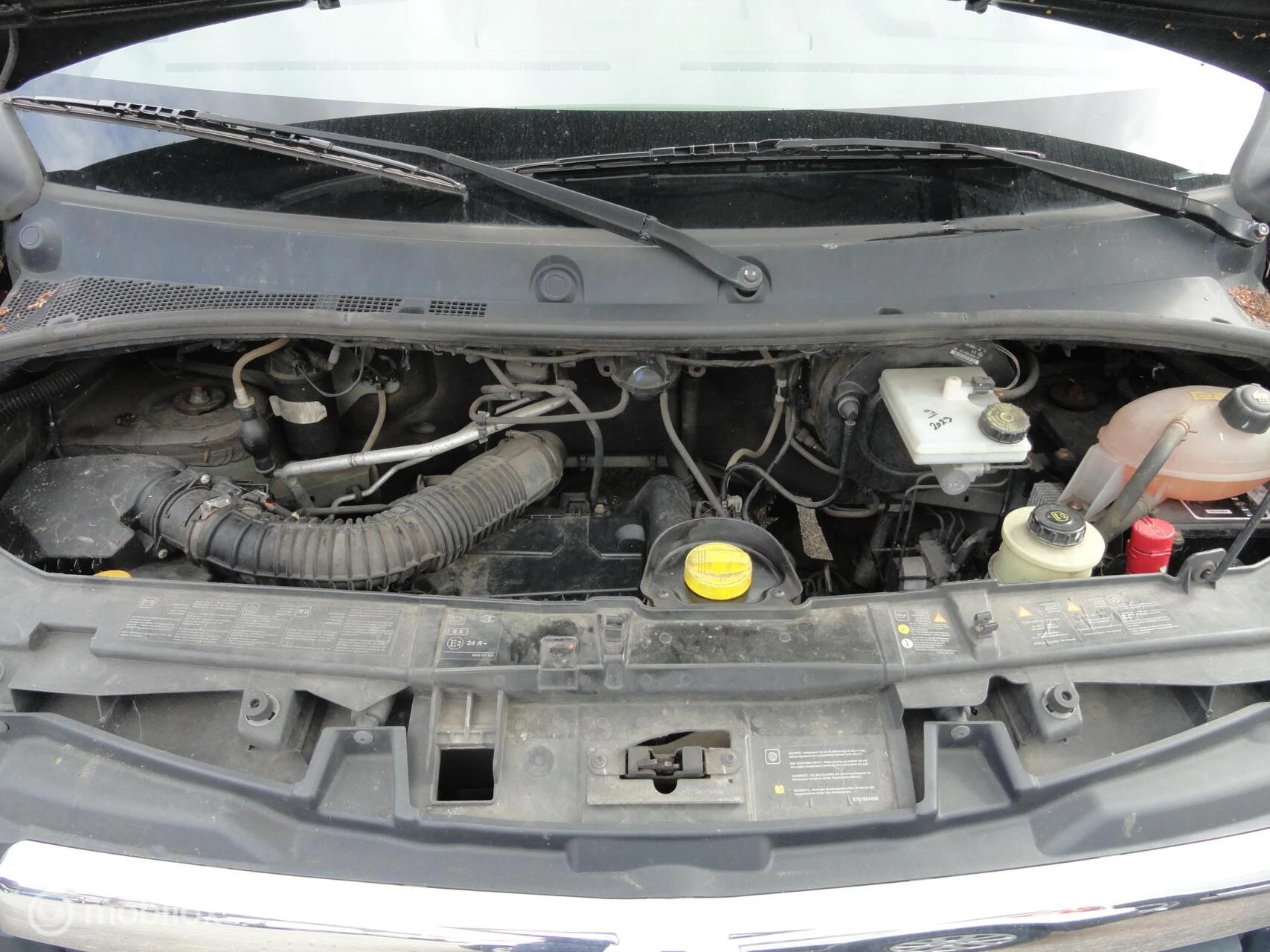 Hoofdafbeelding Opel Movano