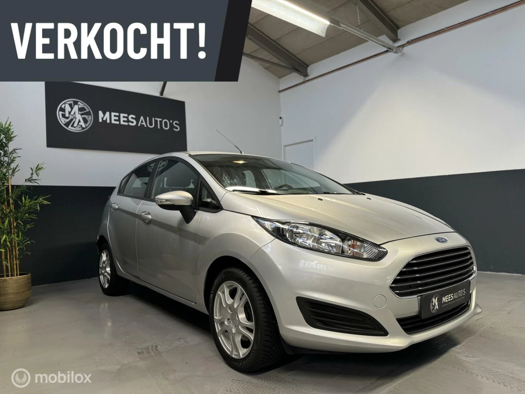 Hoofdafbeelding Ford Fiesta