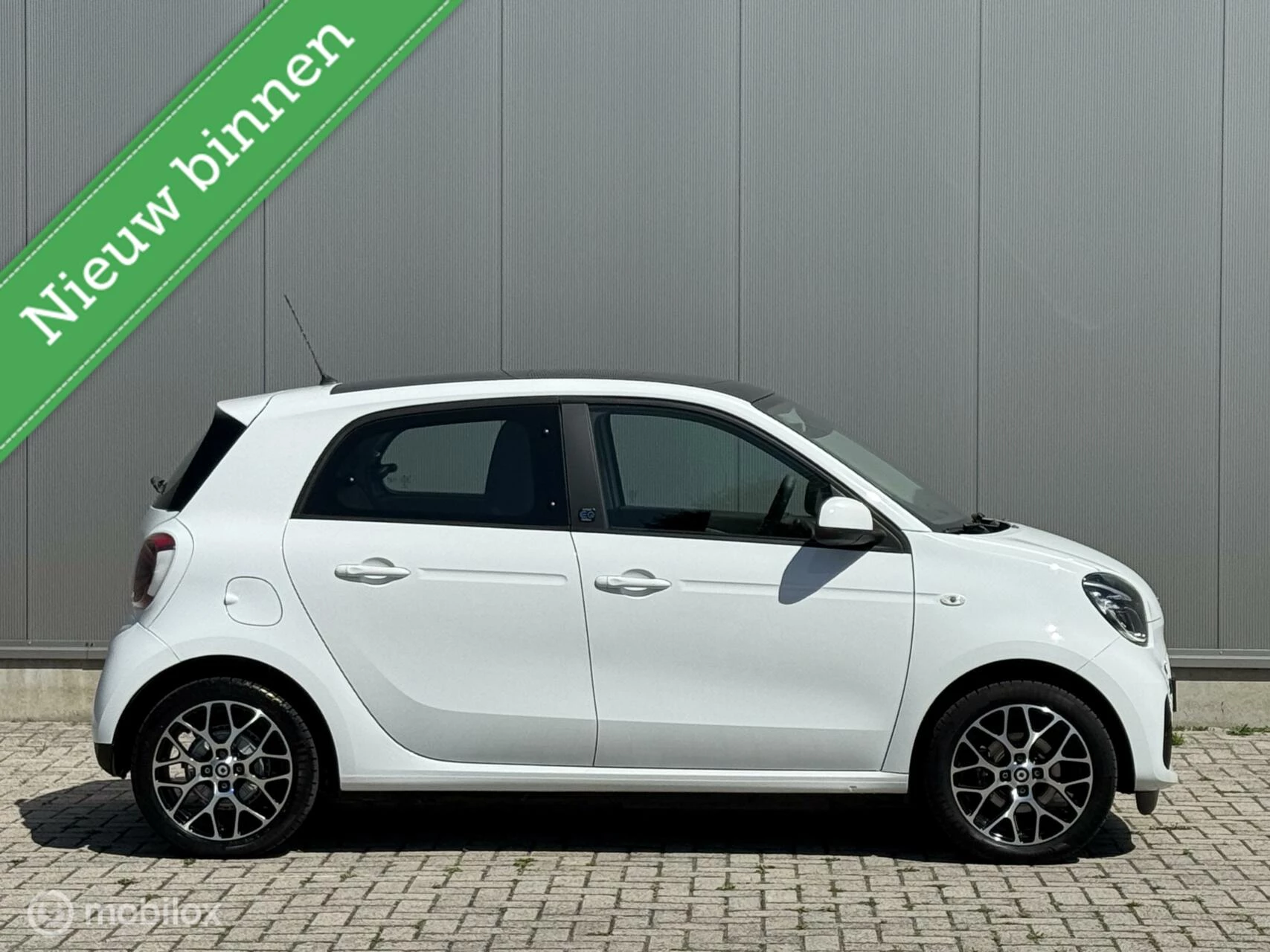 Hoofdafbeelding Smart Forfour