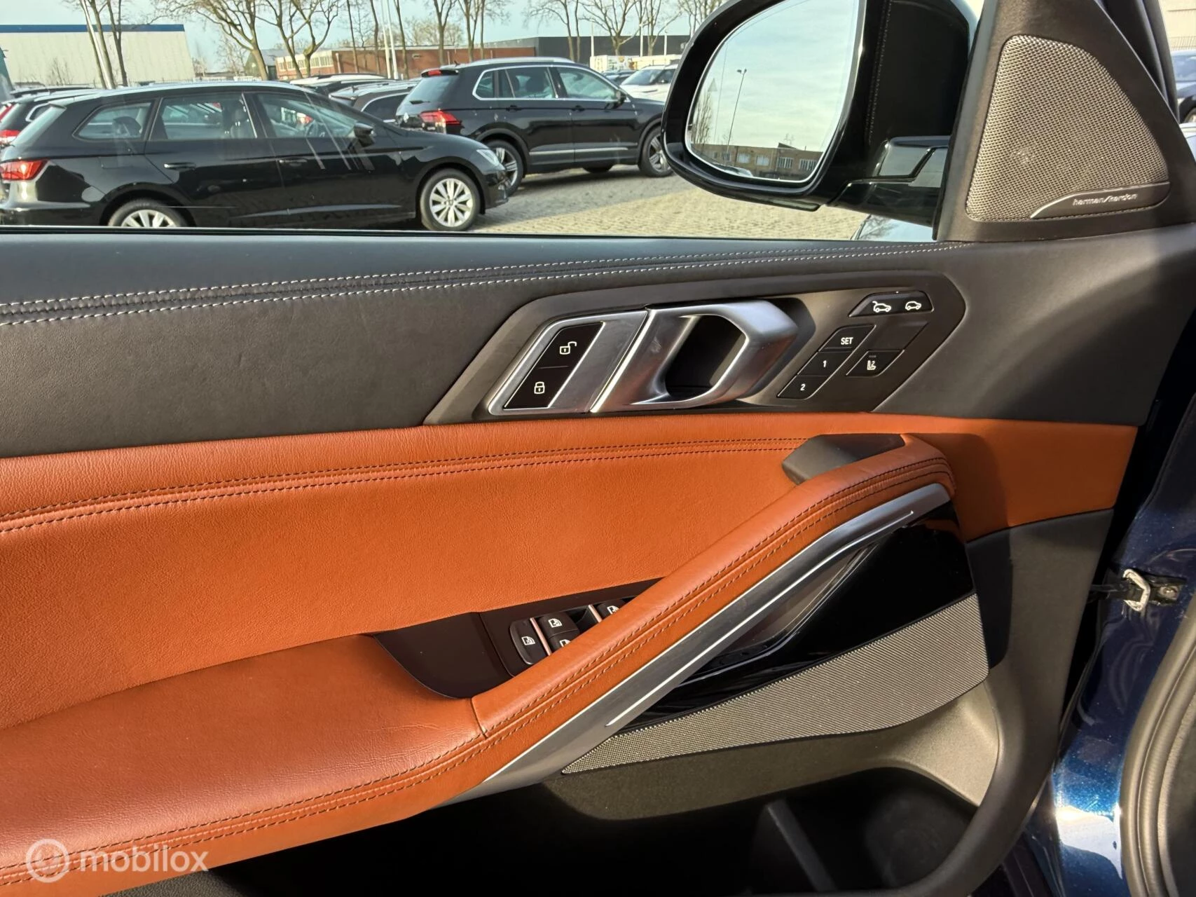 Hoofdafbeelding BMW X6