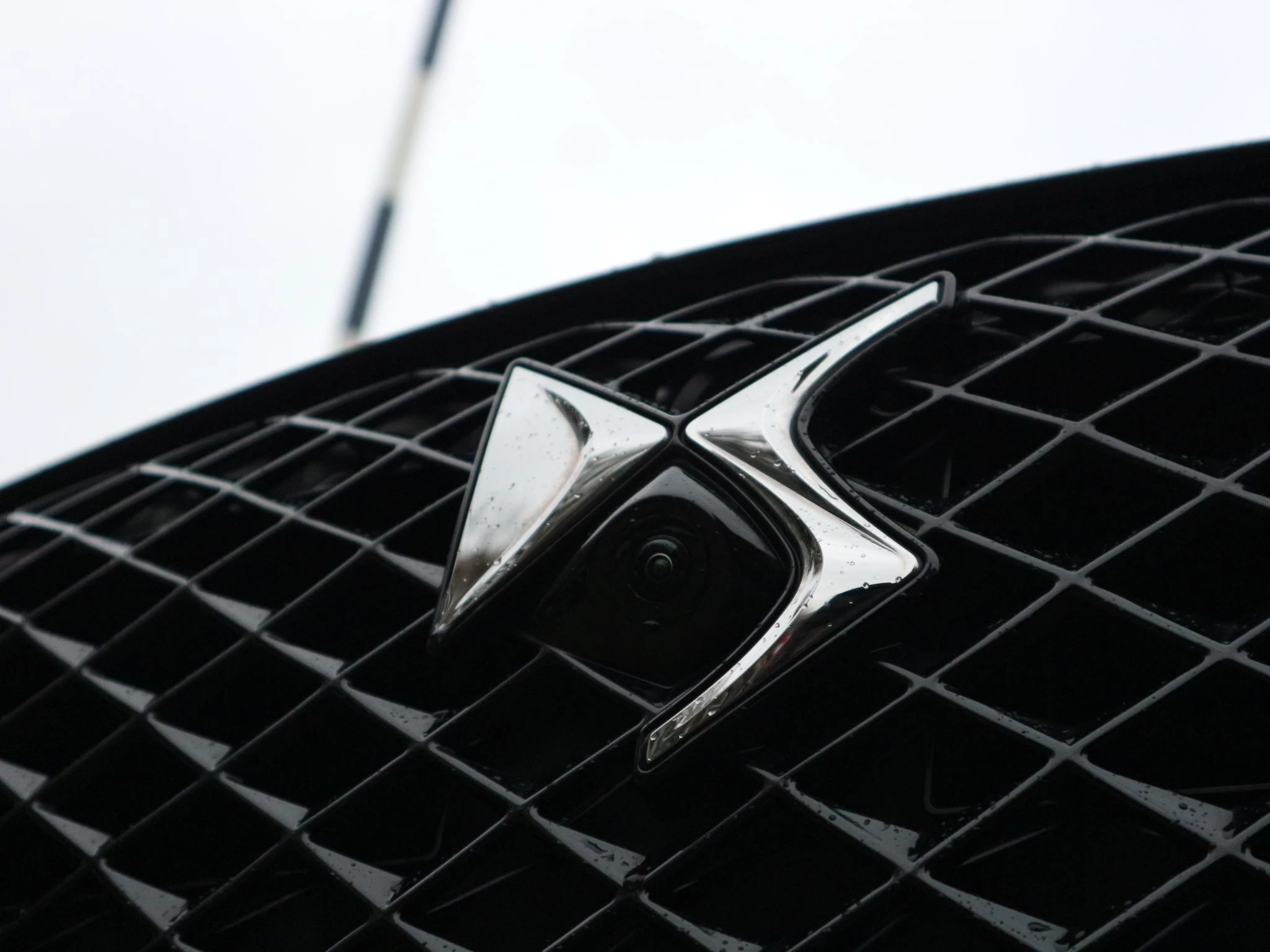 Hoofdafbeelding DS DS 4