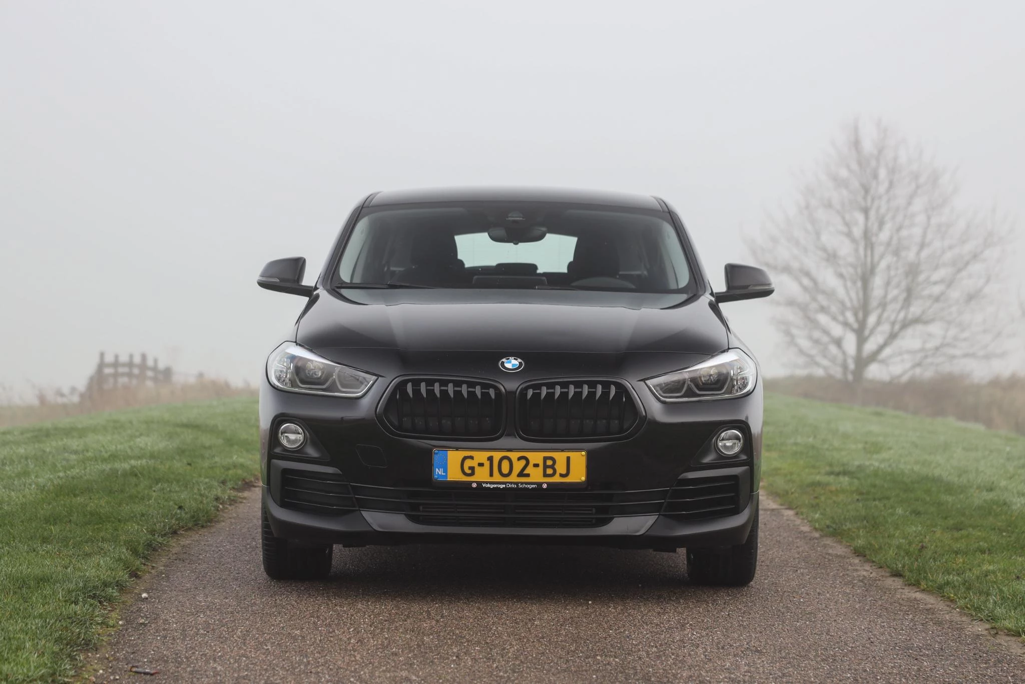 Hoofdafbeelding BMW X2