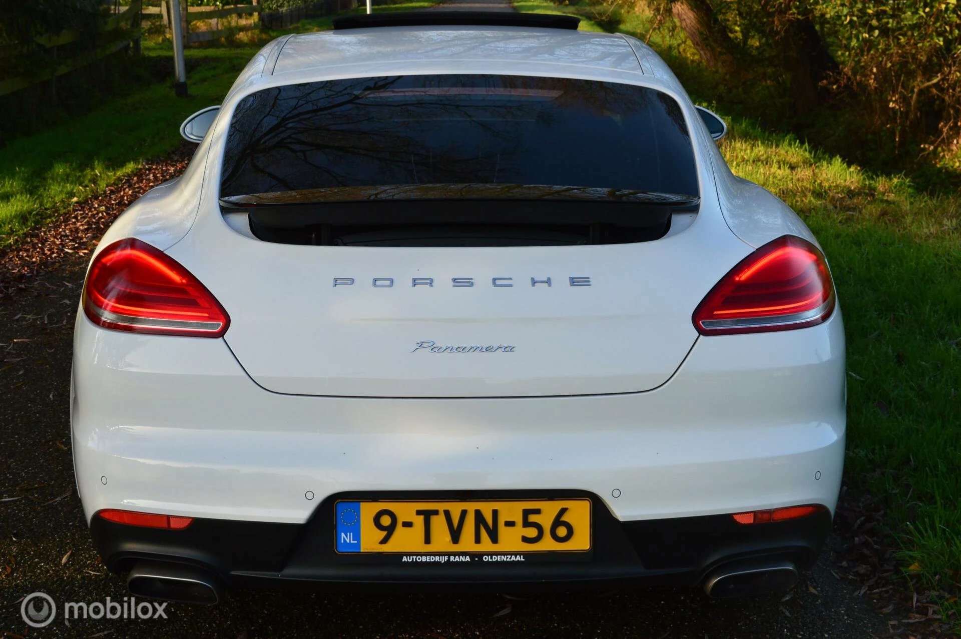 Hoofdafbeelding Porsche Panamera