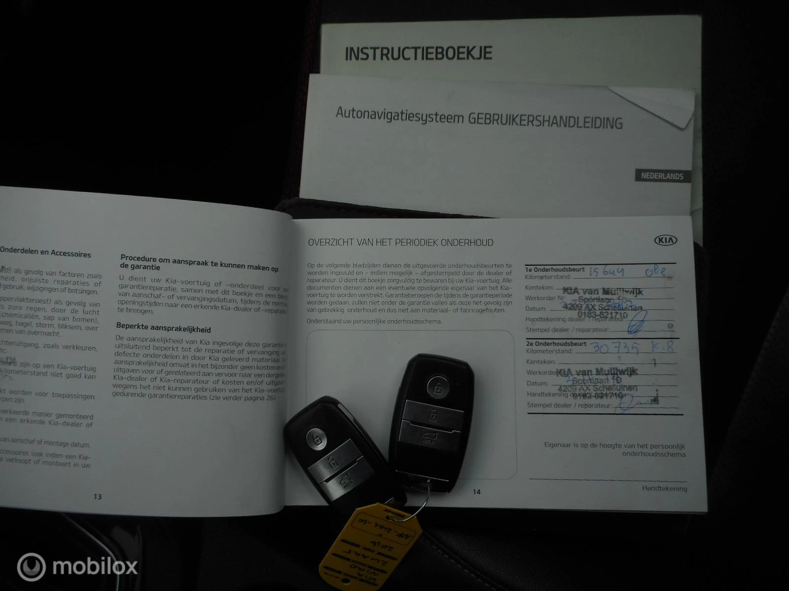 Hoofdafbeelding Kia Niro