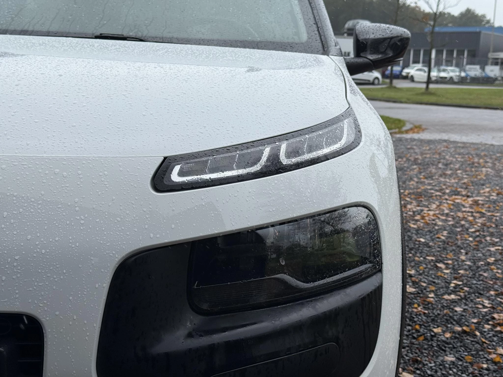 Hoofdafbeelding Citroën C4 Cactus