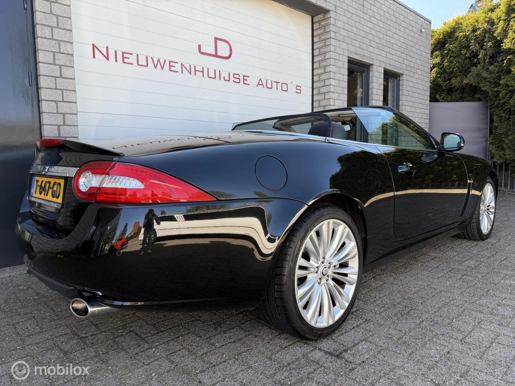 Hoofdafbeelding Jaguar XK