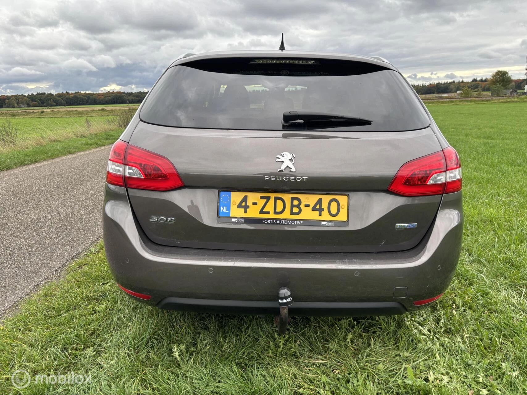 Hoofdafbeelding Peugeot 308