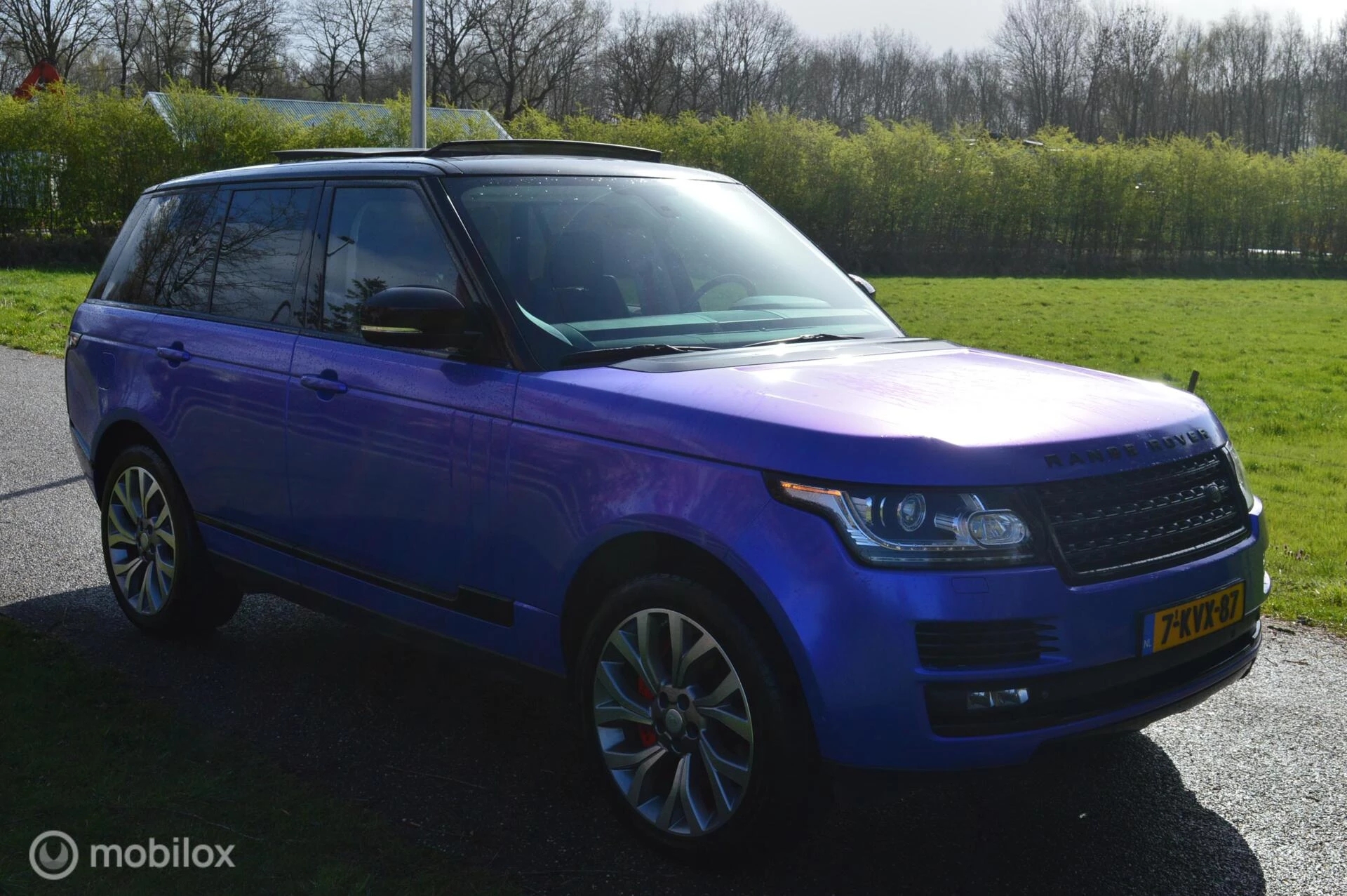 Hoofdafbeelding Land Rover Range Rover