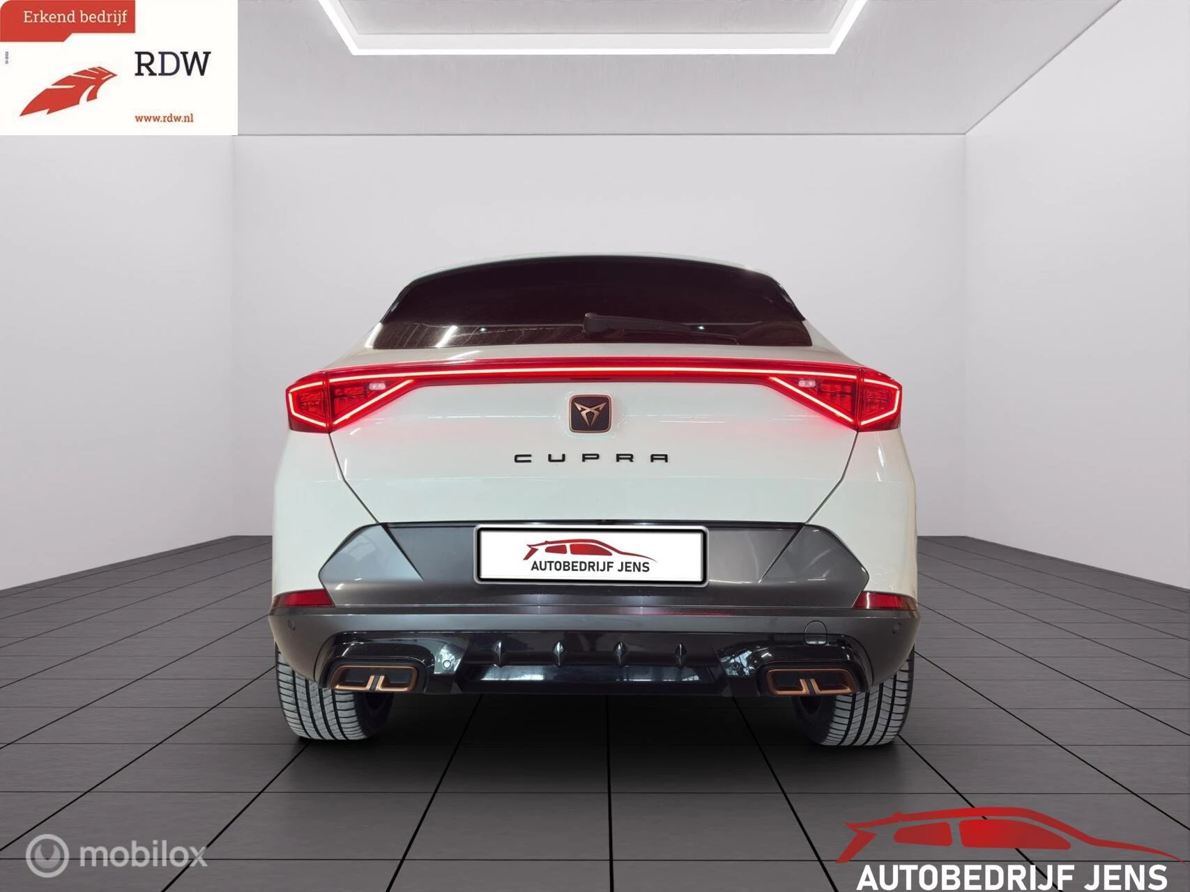 Hoofdafbeelding CUPRA Formentor