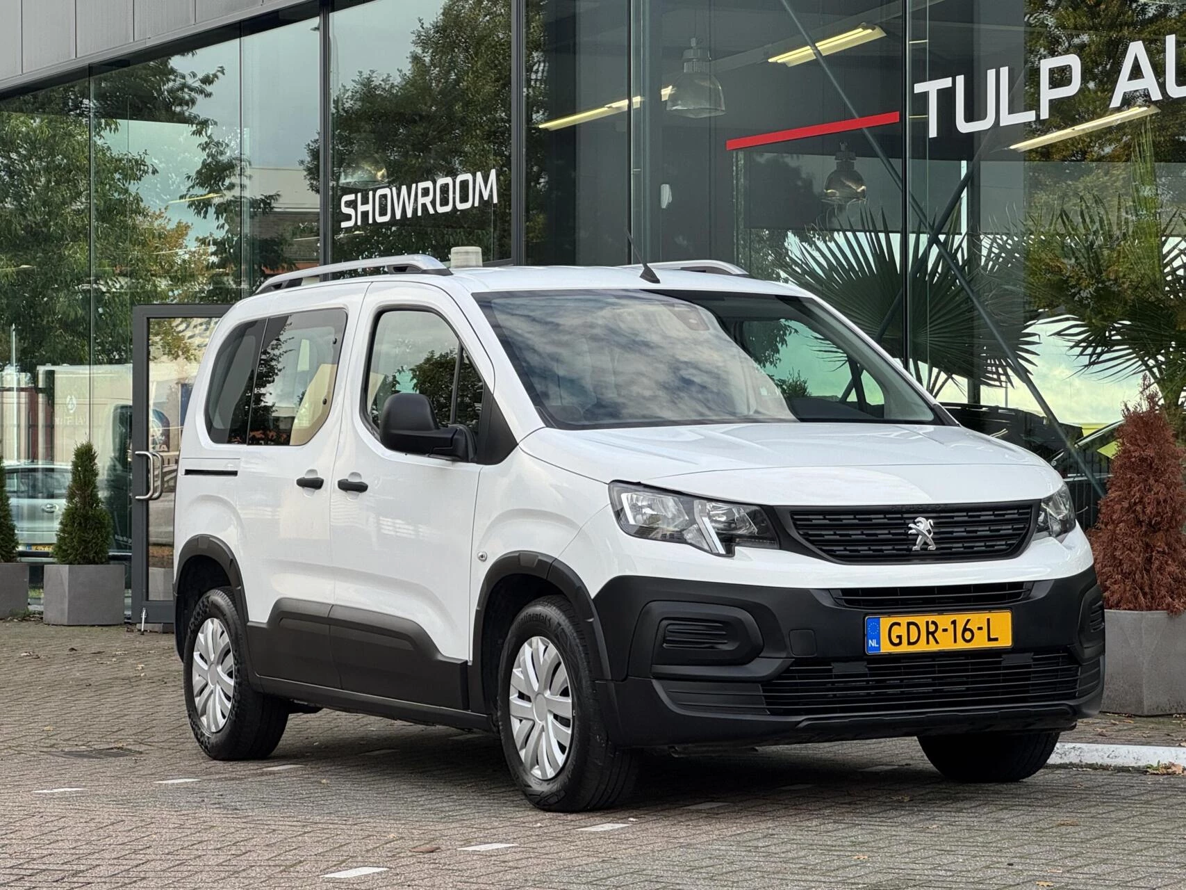 Hoofdafbeelding Peugeot Rifter