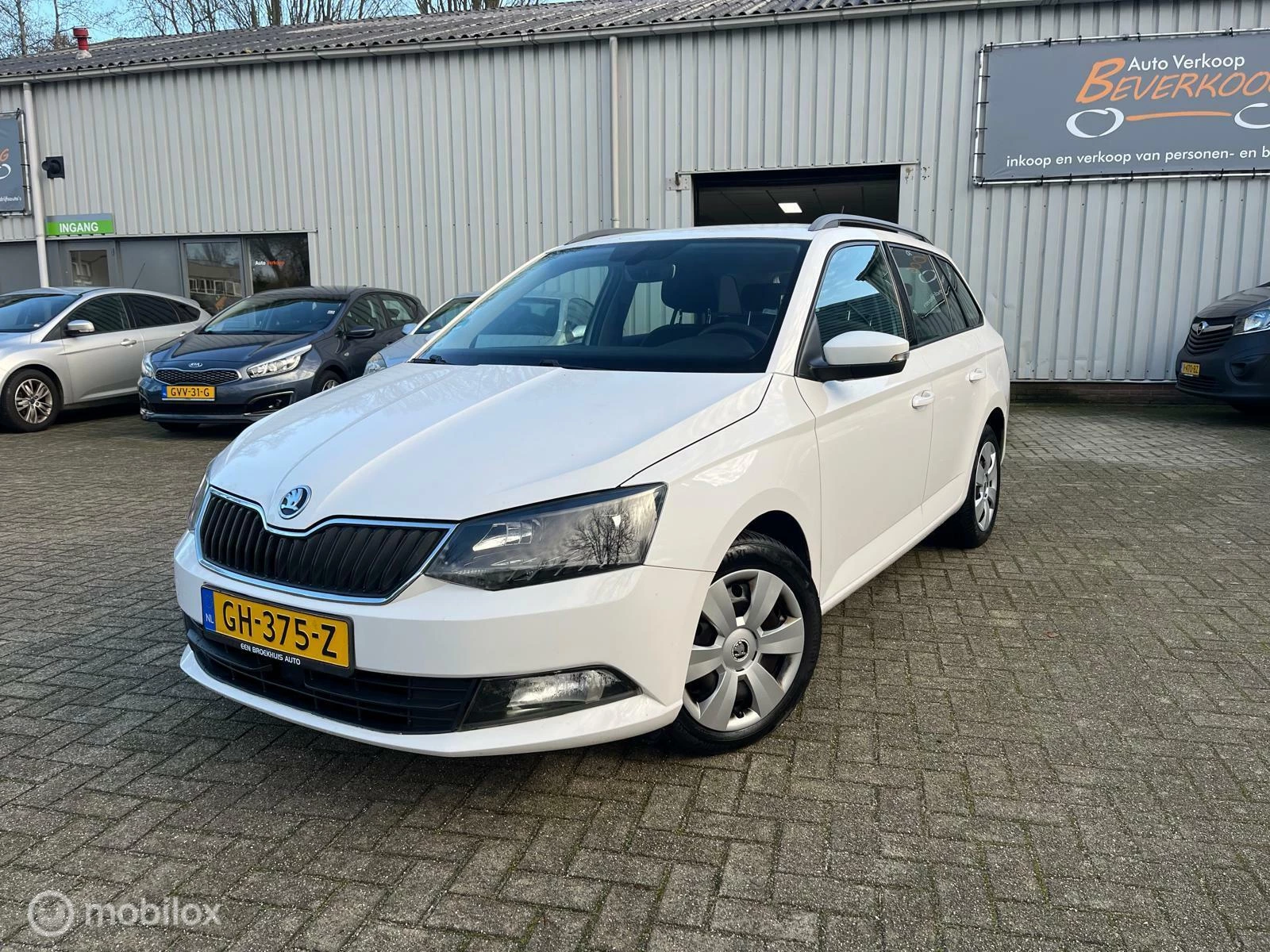 Hoofdafbeelding Škoda Fabia