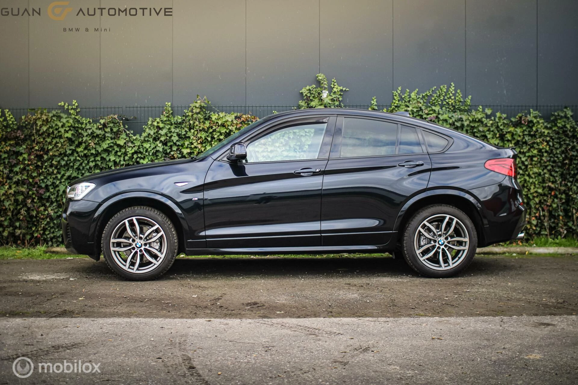 Hoofdafbeelding BMW X4