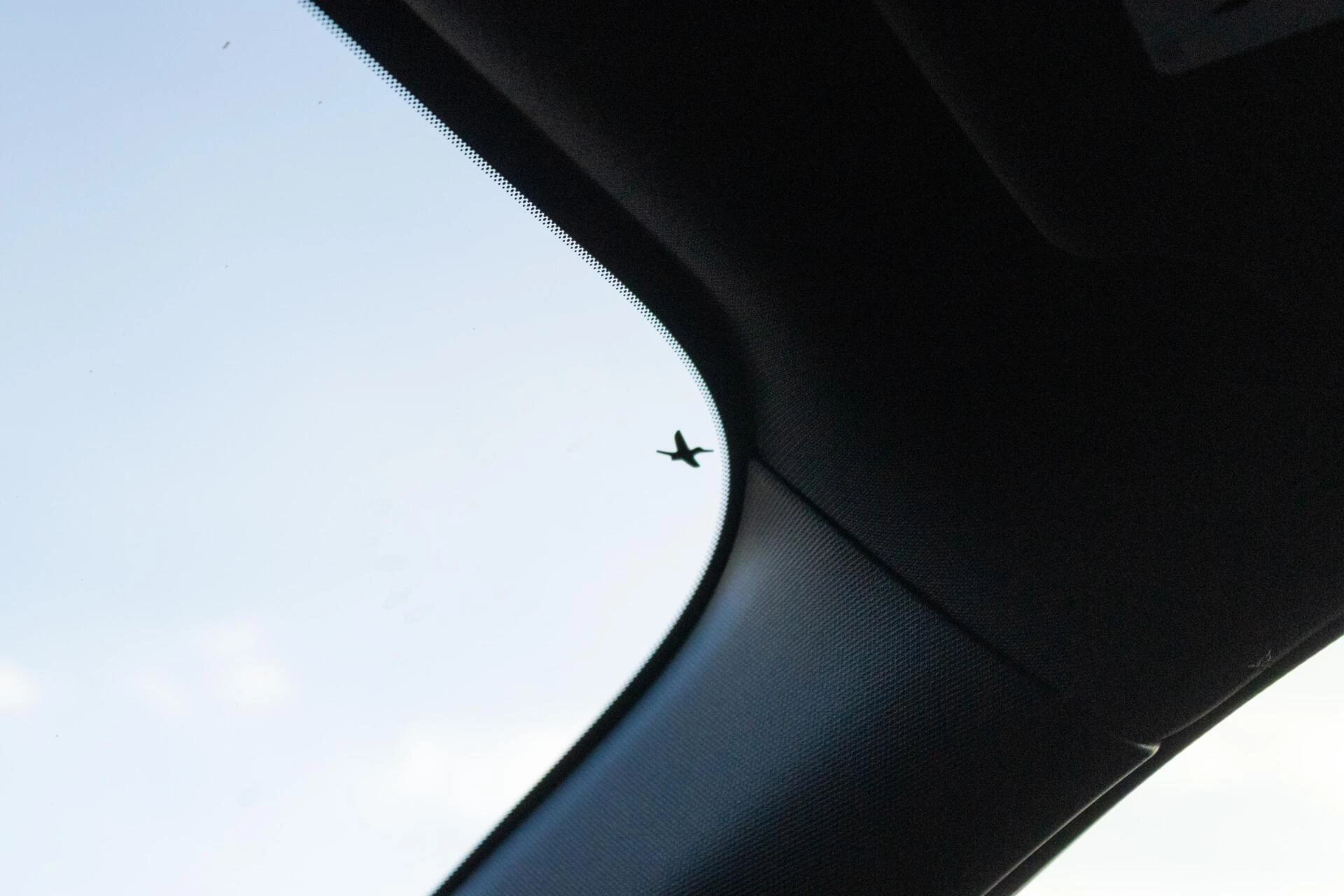 Hoofdafbeelding Subaru Forester