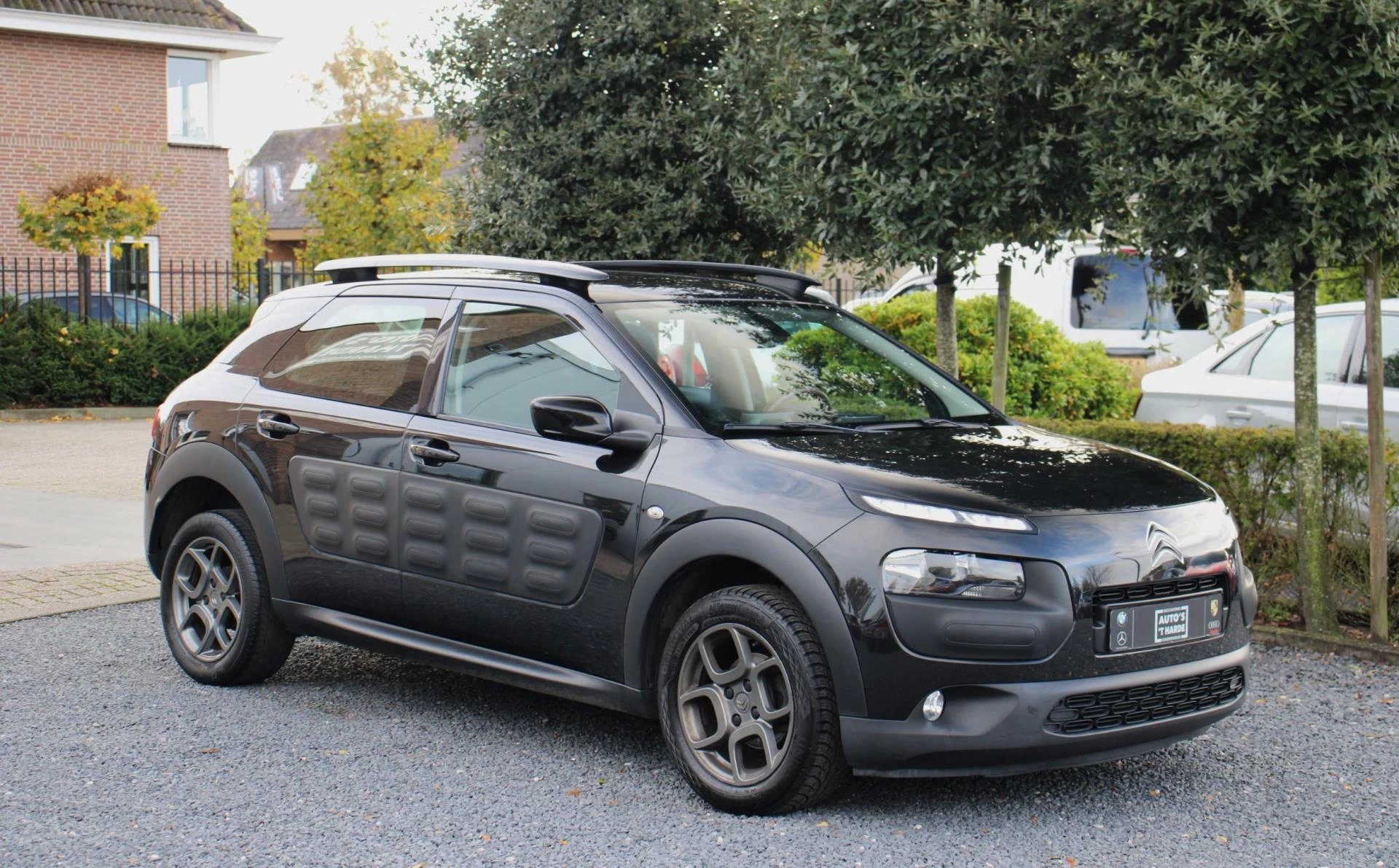 Hoofdafbeelding Citroën C4 Cactus