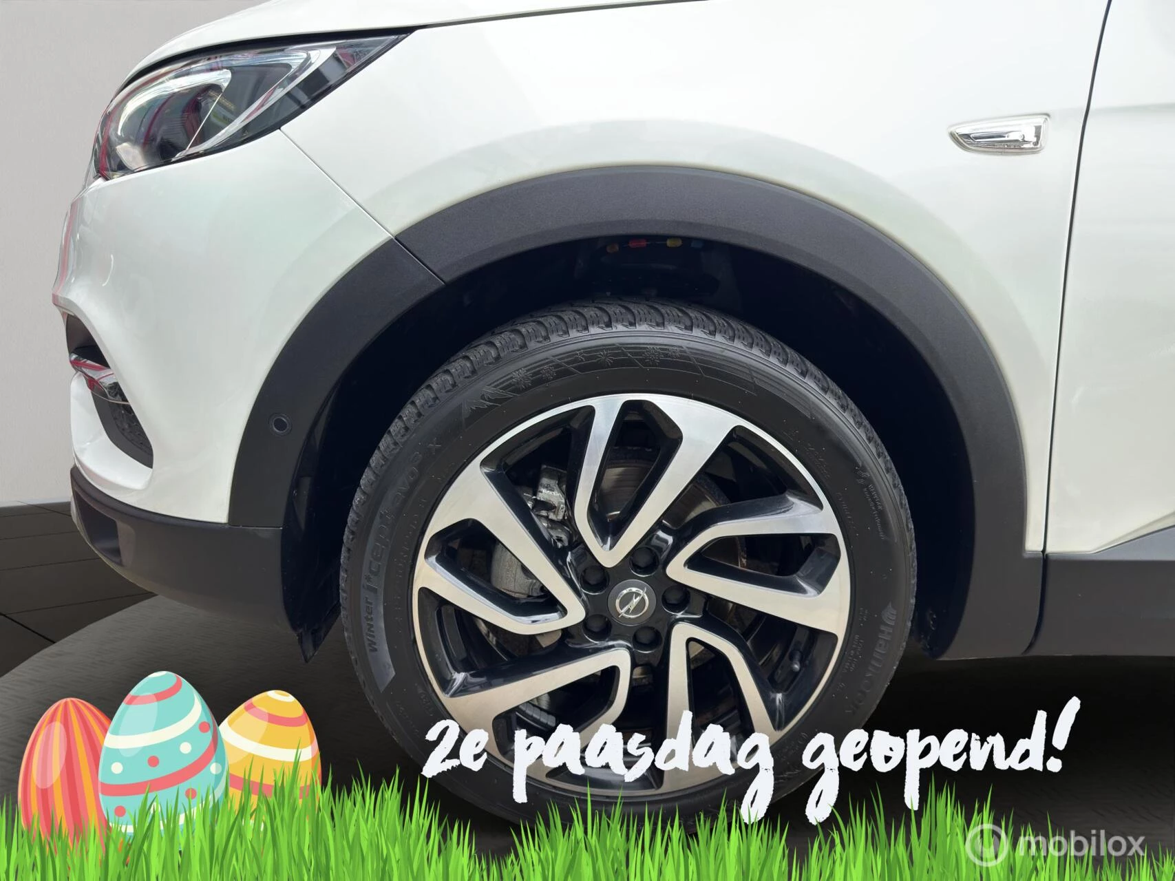Hoofdafbeelding Opel Grandland X