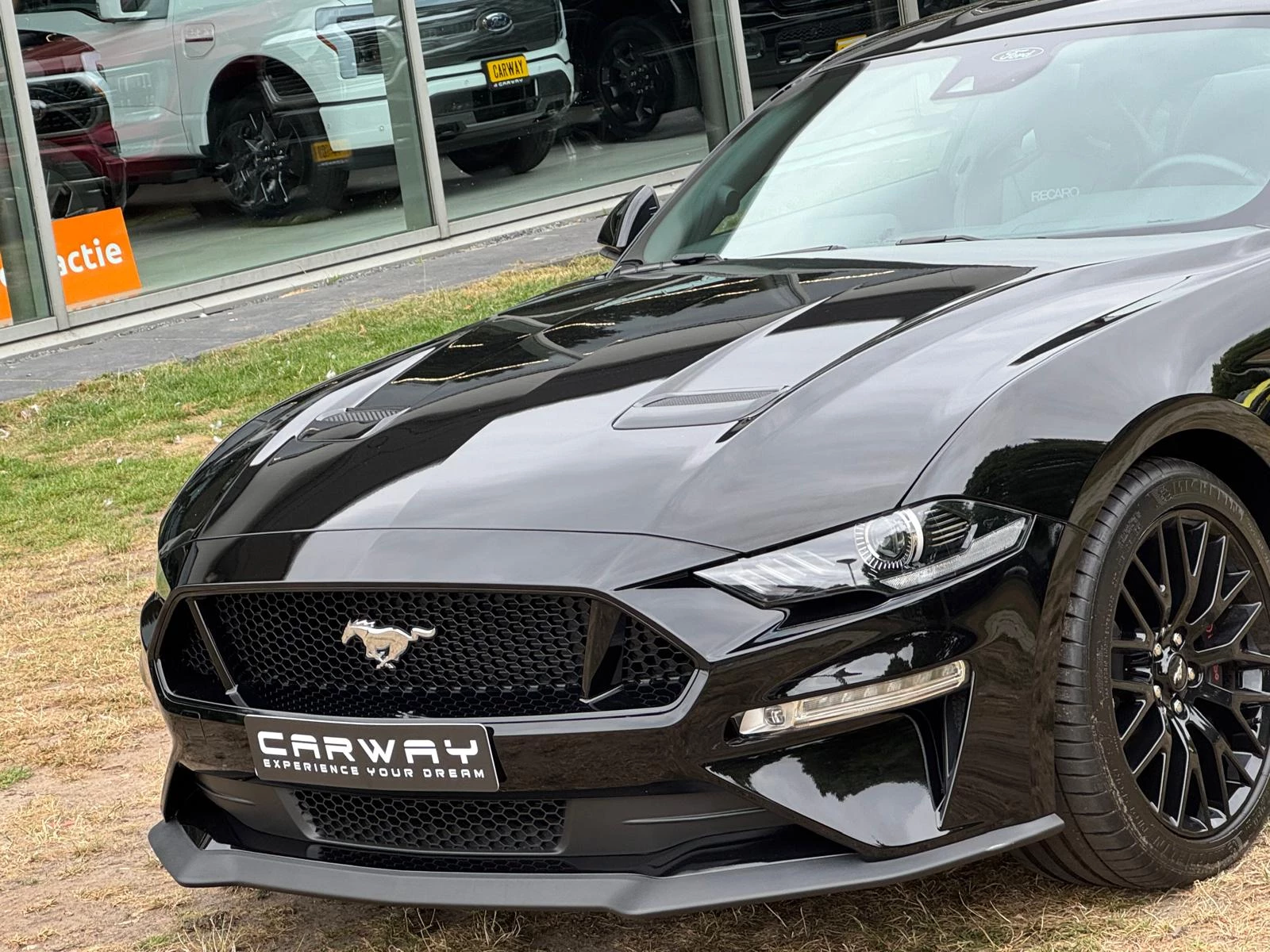 Hoofdafbeelding Ford Mustang