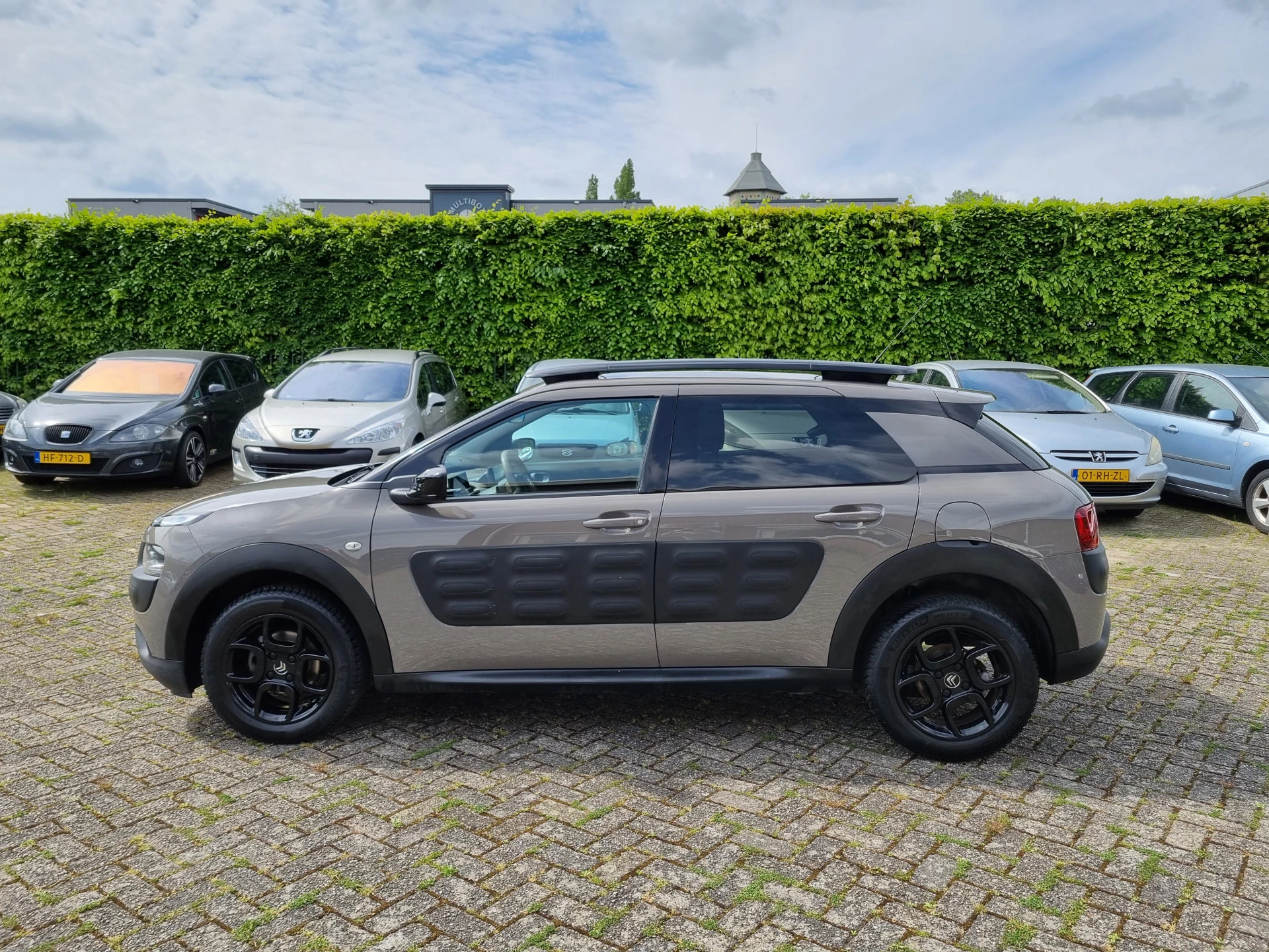 Hoofdafbeelding Citroën C4 Cactus