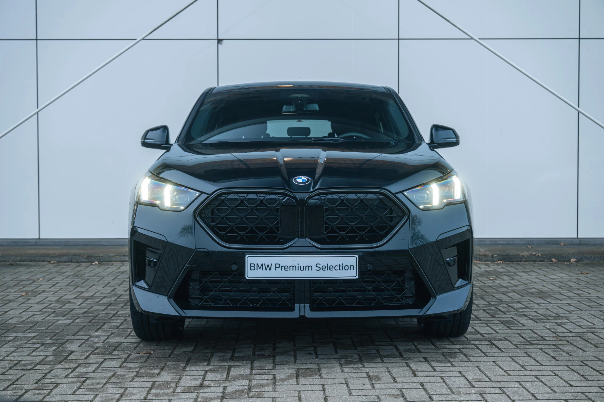 Hoofdafbeelding BMW X2