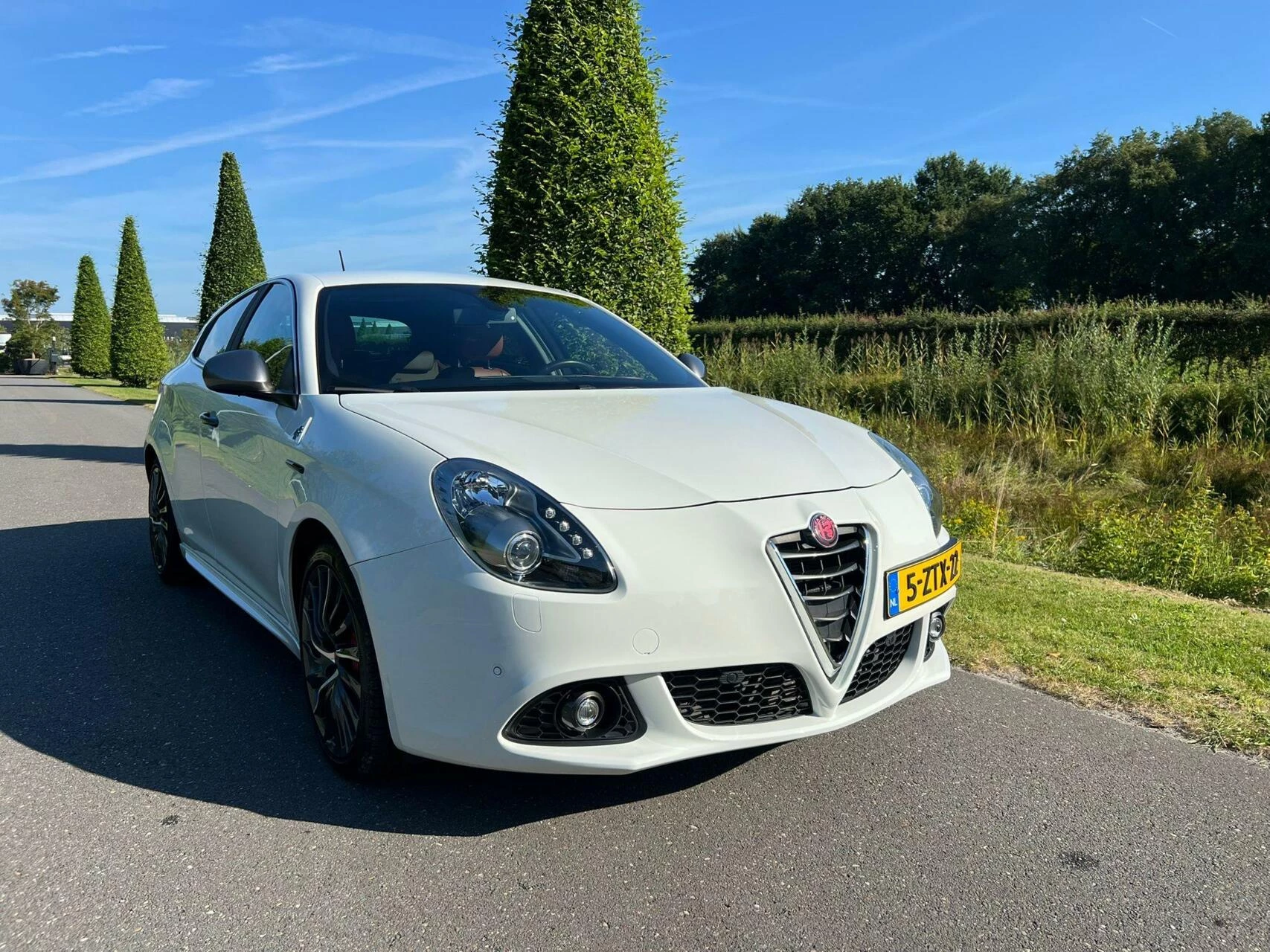 Hoofdafbeelding Alfa Romeo Giulietta