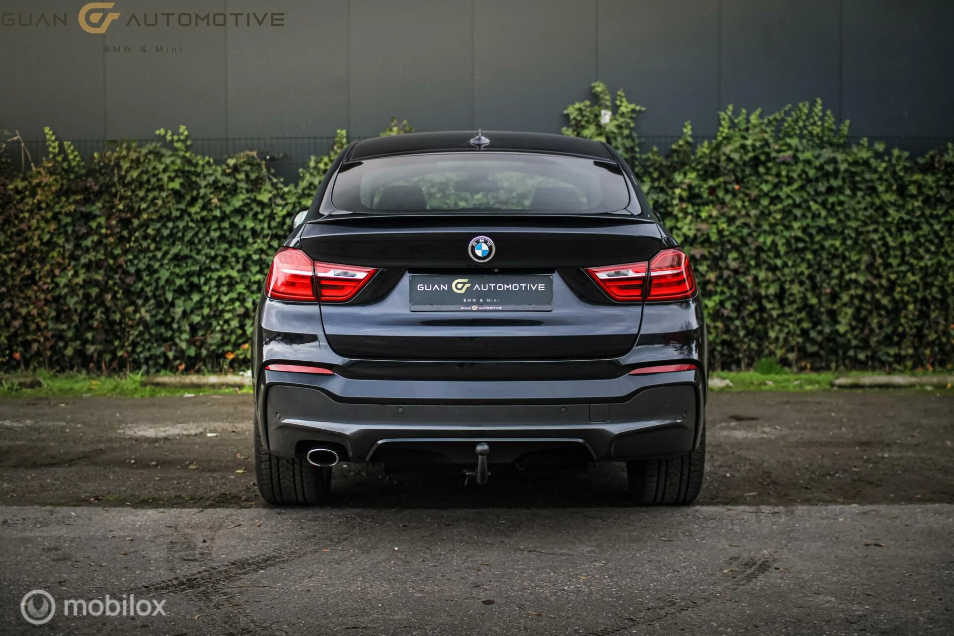 Hoofdafbeelding BMW X4