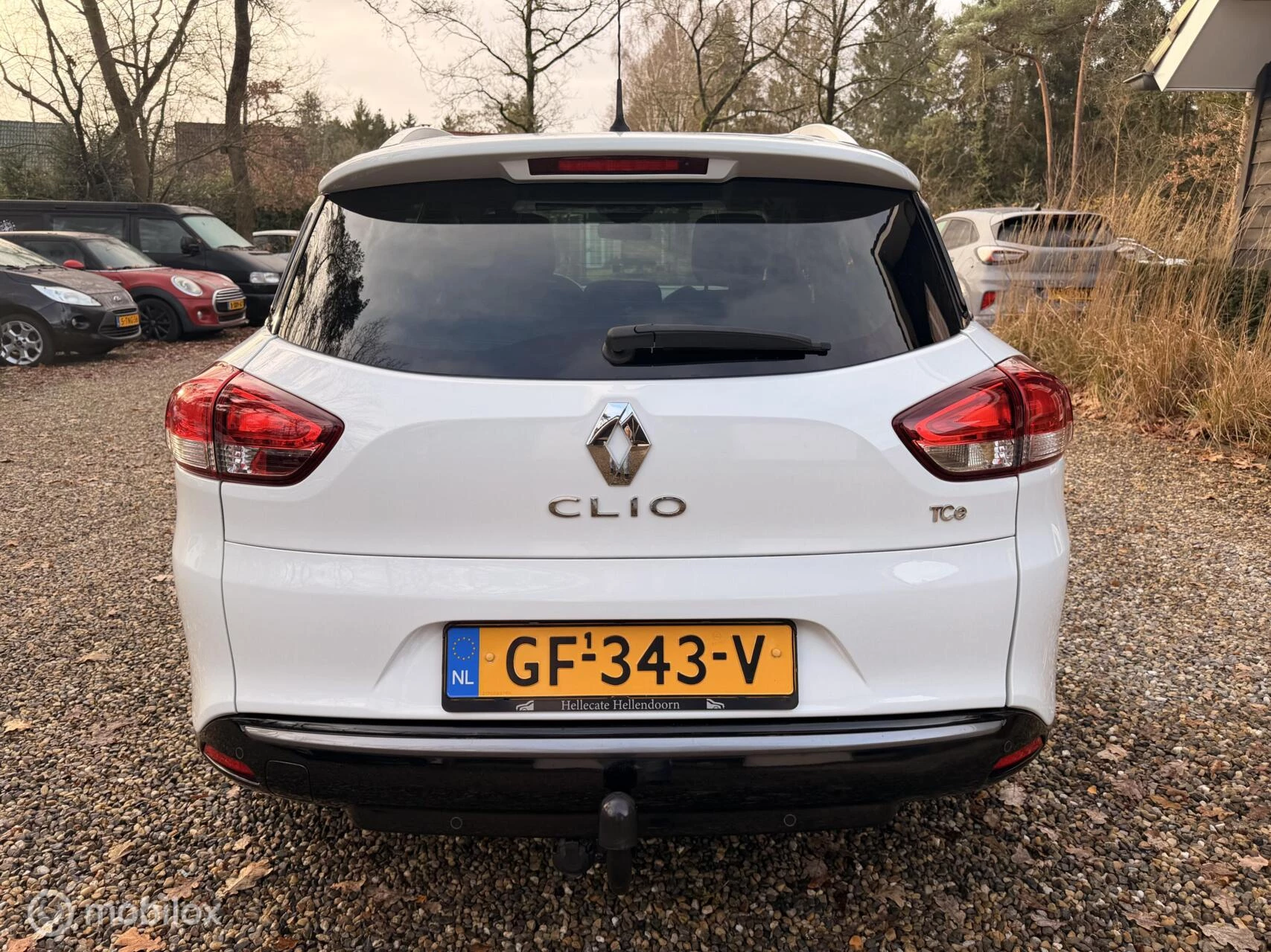 Hoofdafbeelding Renault Clio