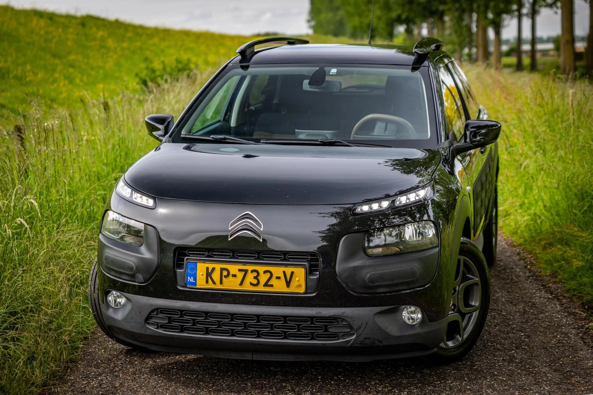 Hoofdafbeelding Citroën C4 Cactus
