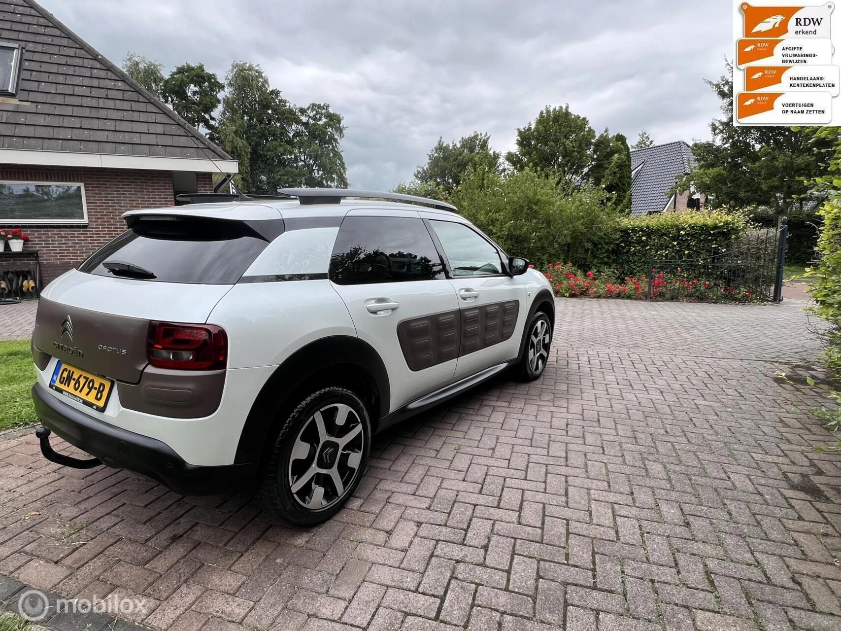Hoofdafbeelding Citroën C4 Cactus