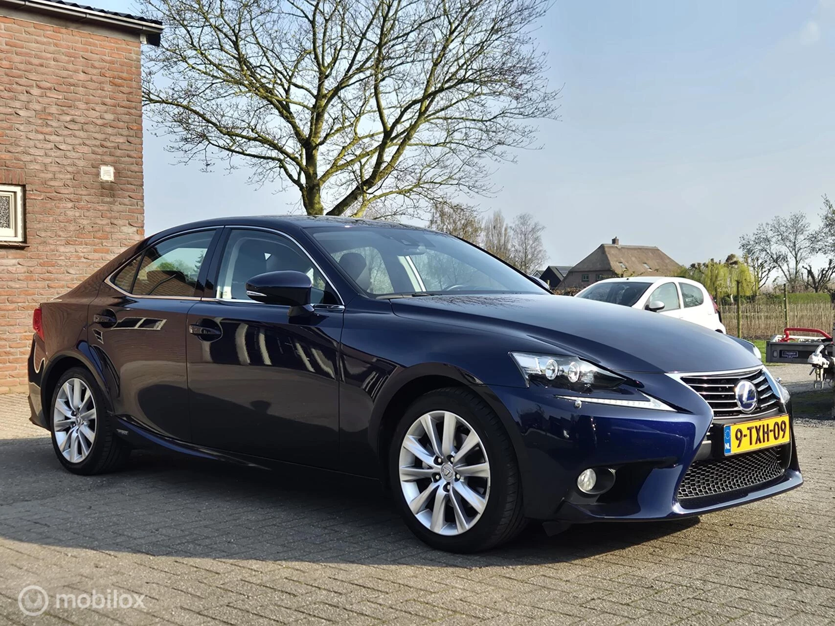 Hoofdafbeelding Lexus IS