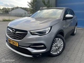 Hoofdafbeelding Opel Grandland X Opel Grandland X 1.2 Turbo Business Executive