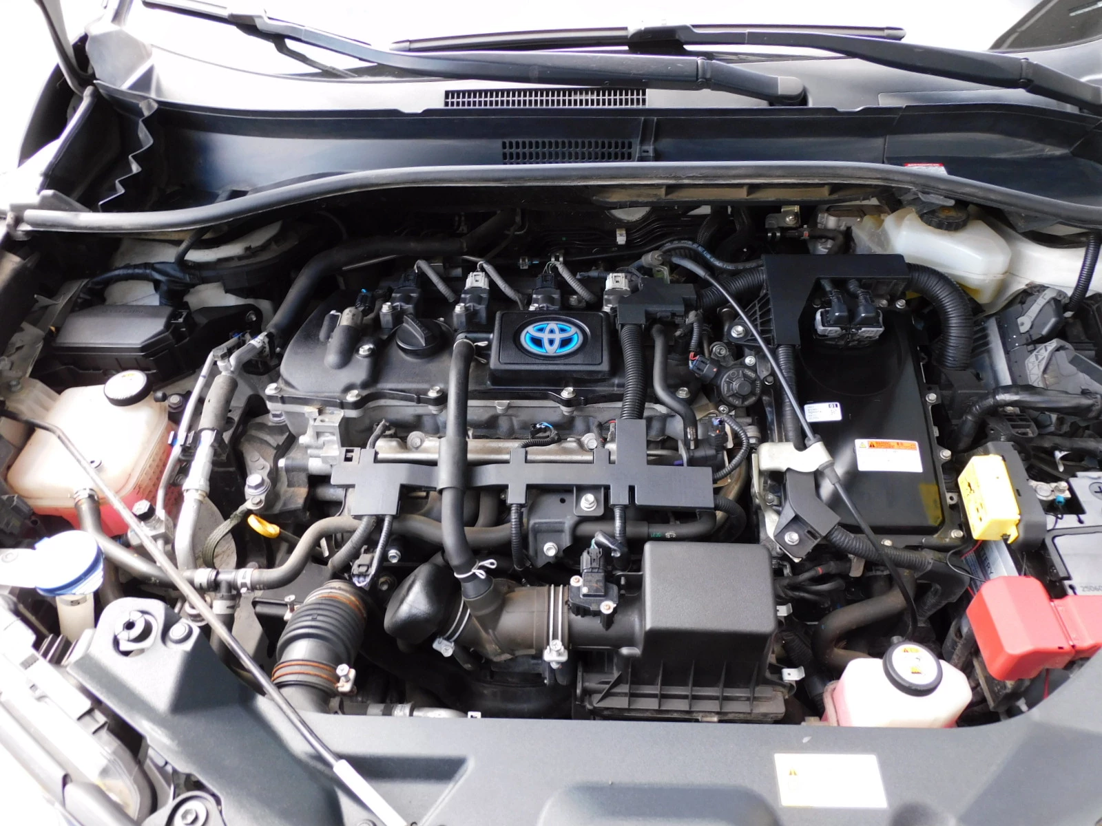 Hoofdafbeelding Toyota C-HR