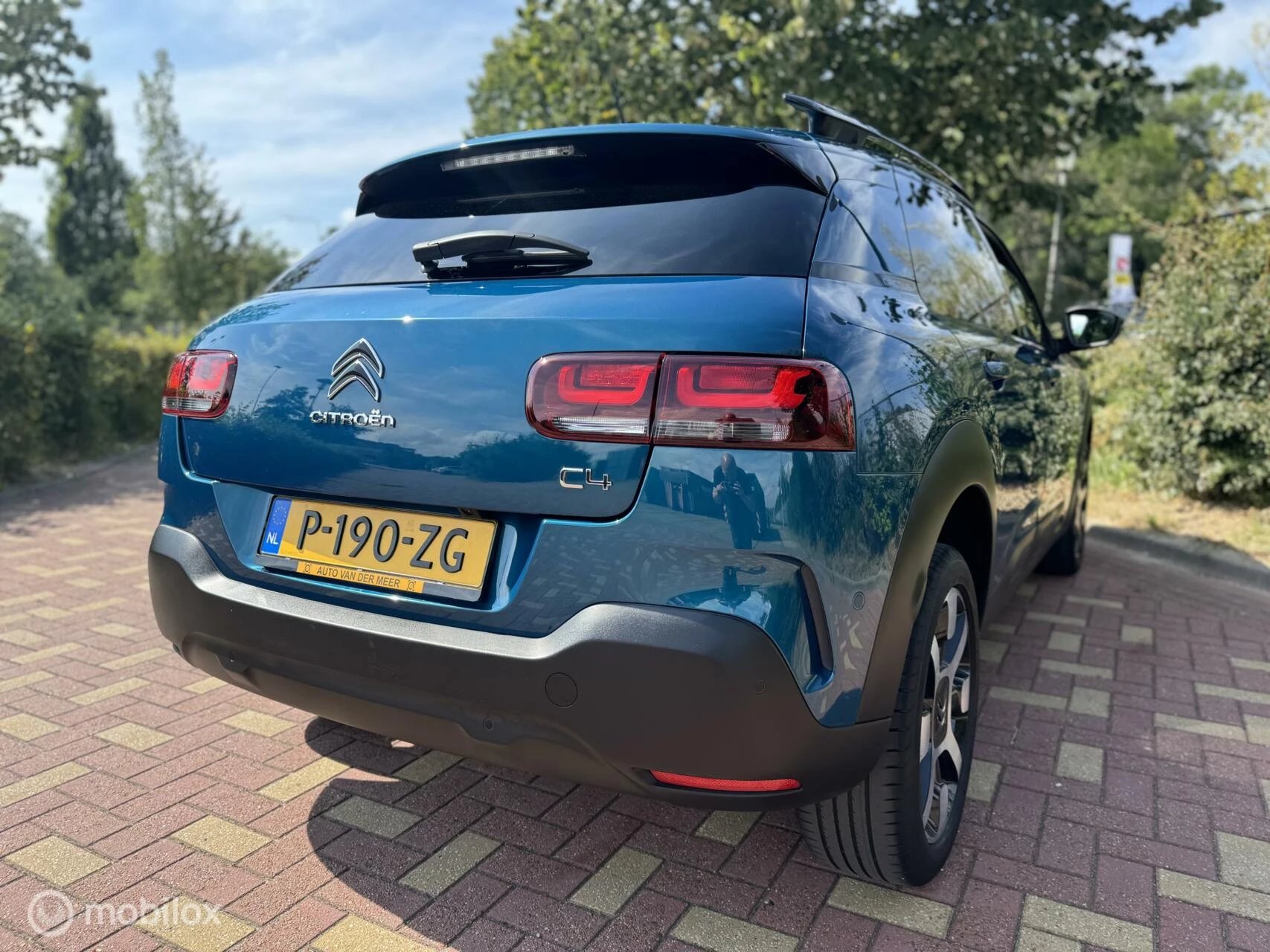 Hoofdafbeelding Citroën C4 Cactus