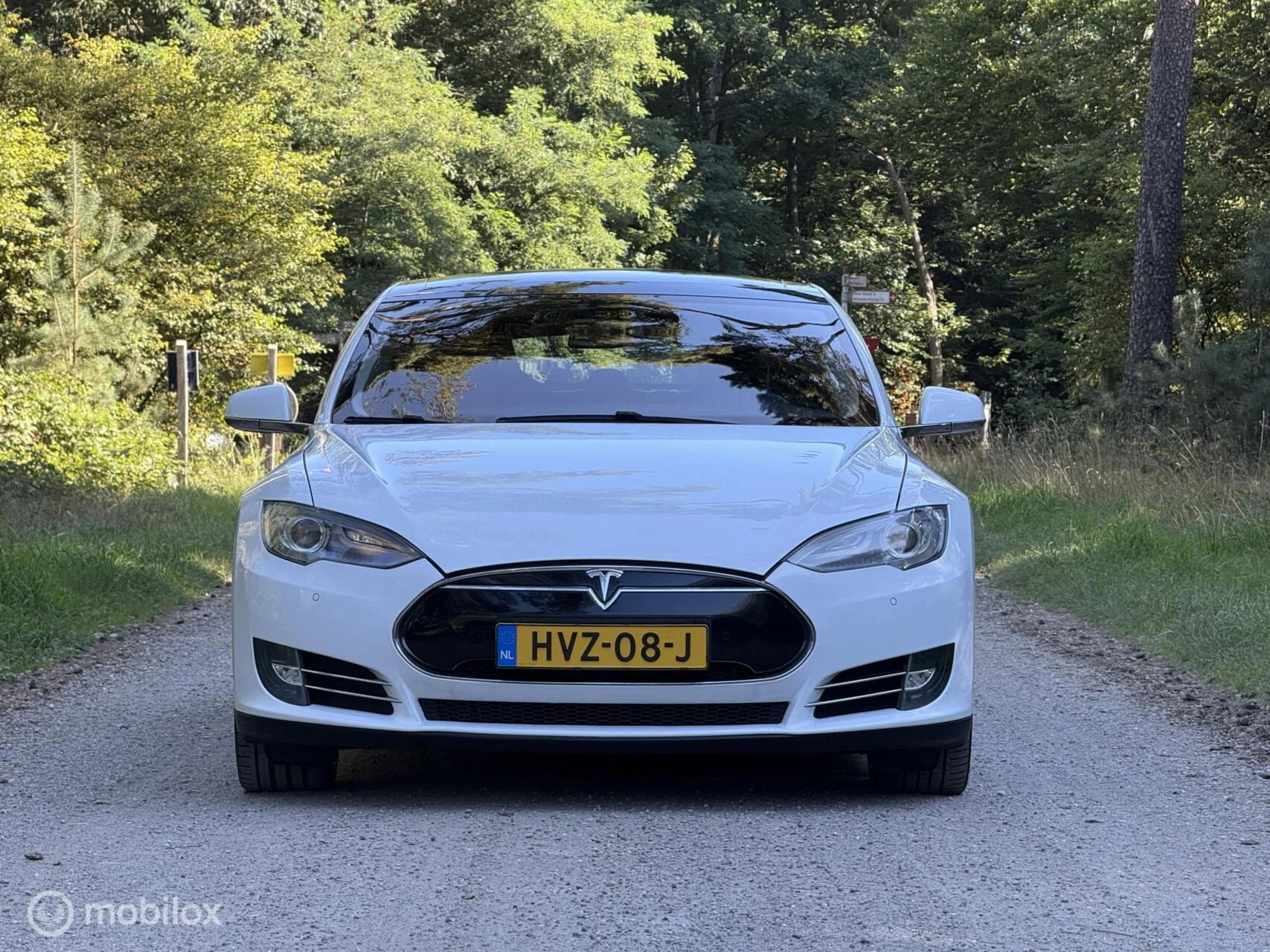 Hoofdafbeelding Tesla Model S