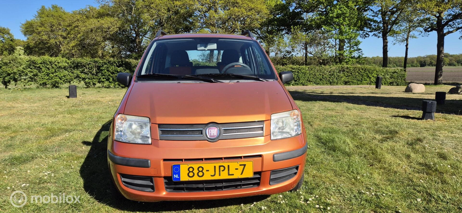 Hoofdafbeelding Fiat Panda