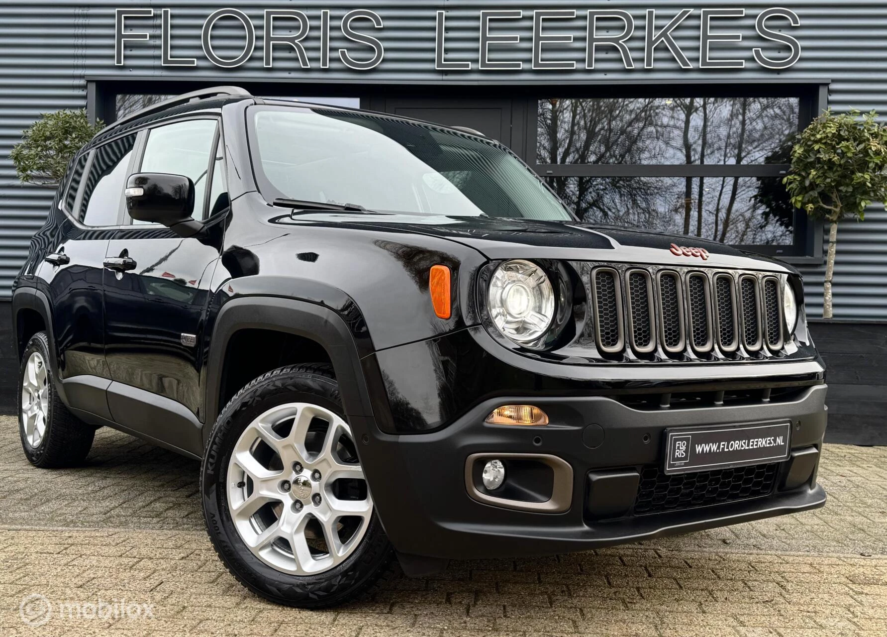 Hoofdafbeelding Jeep Renegade