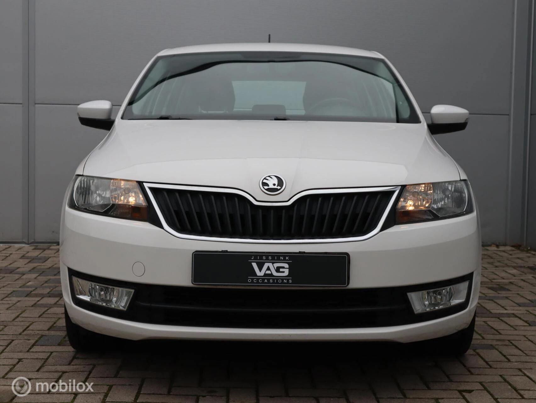 Hoofdafbeelding Škoda Rapid