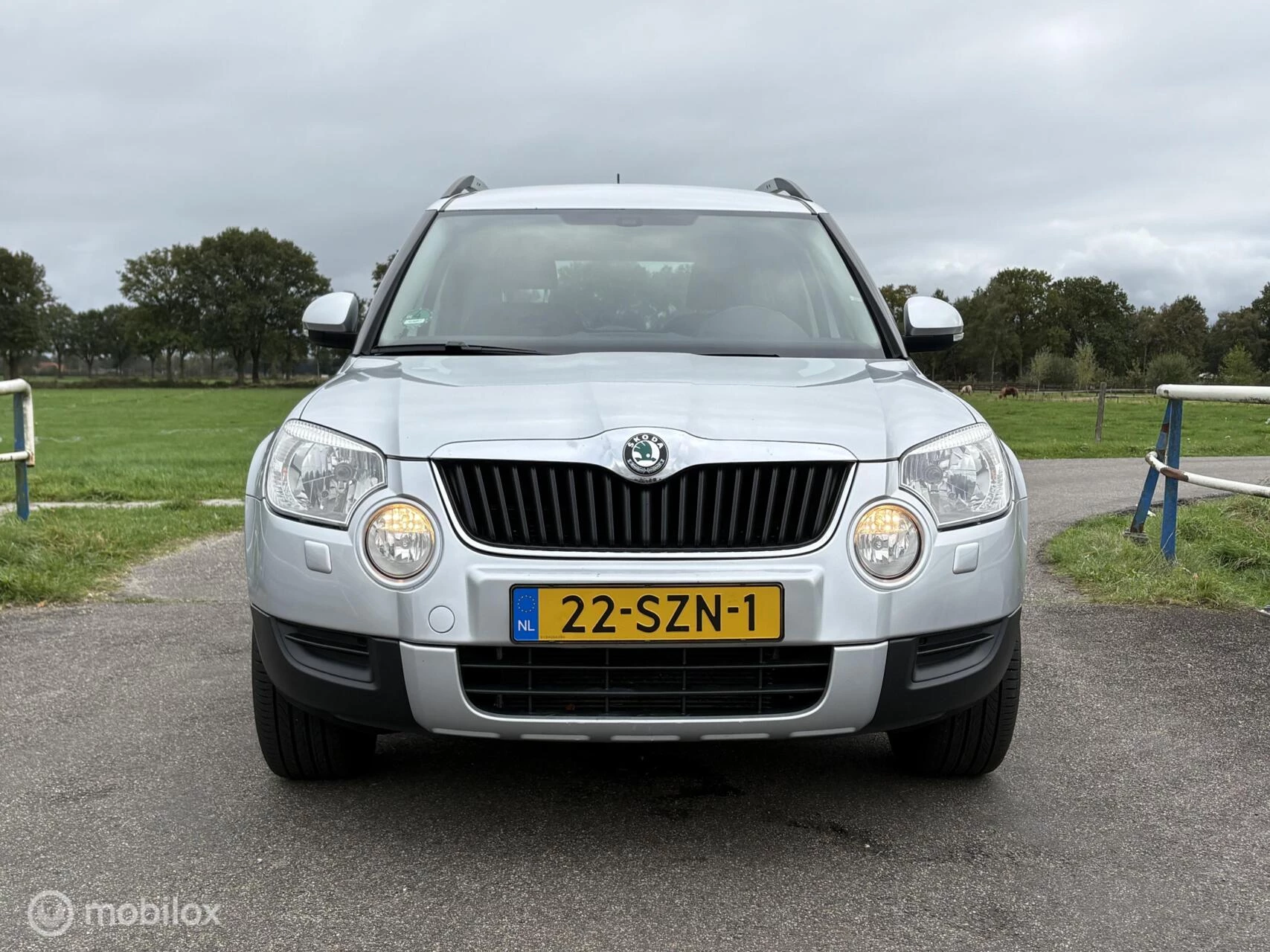 Hoofdafbeelding Škoda Yeti