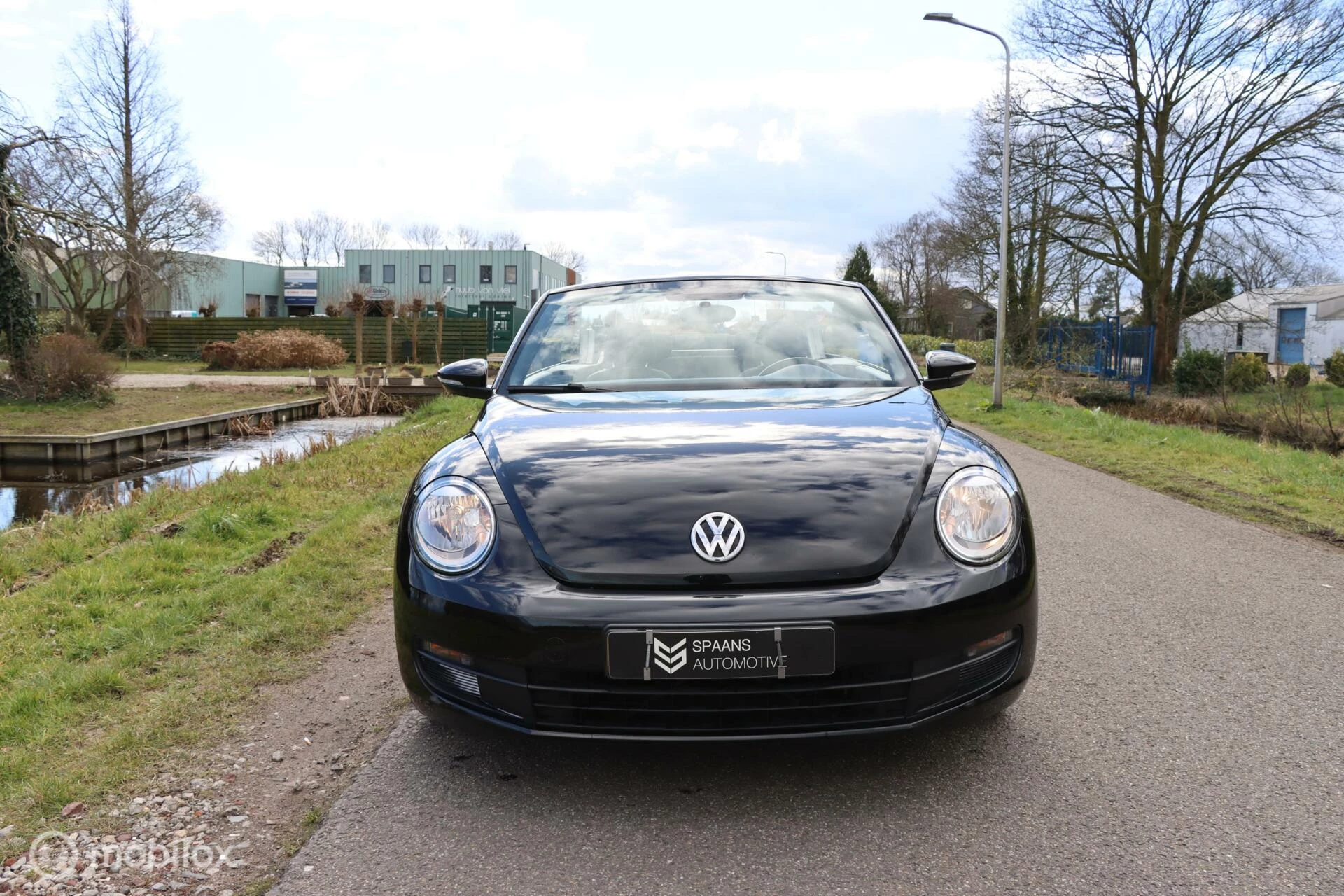 Hoofdafbeelding Volkswagen Beetle