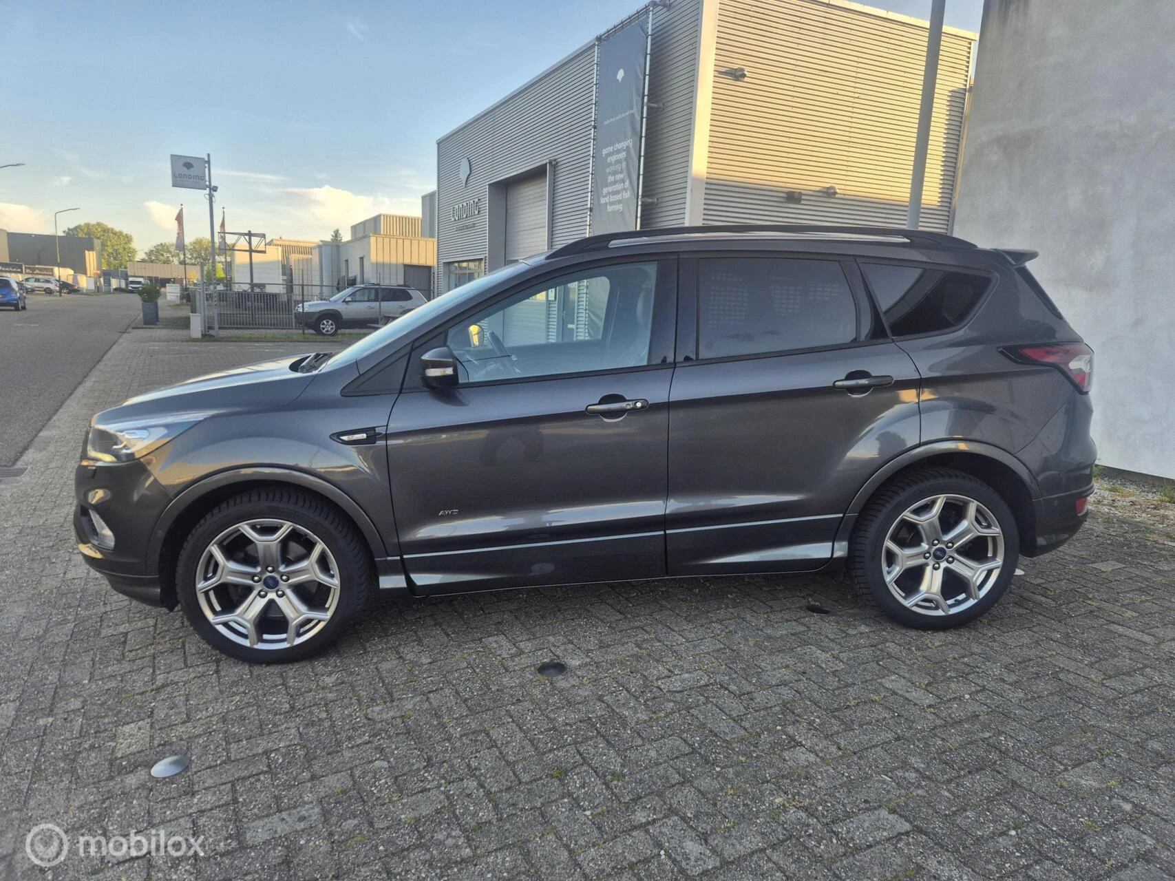 Hoofdafbeelding Ford Kuga