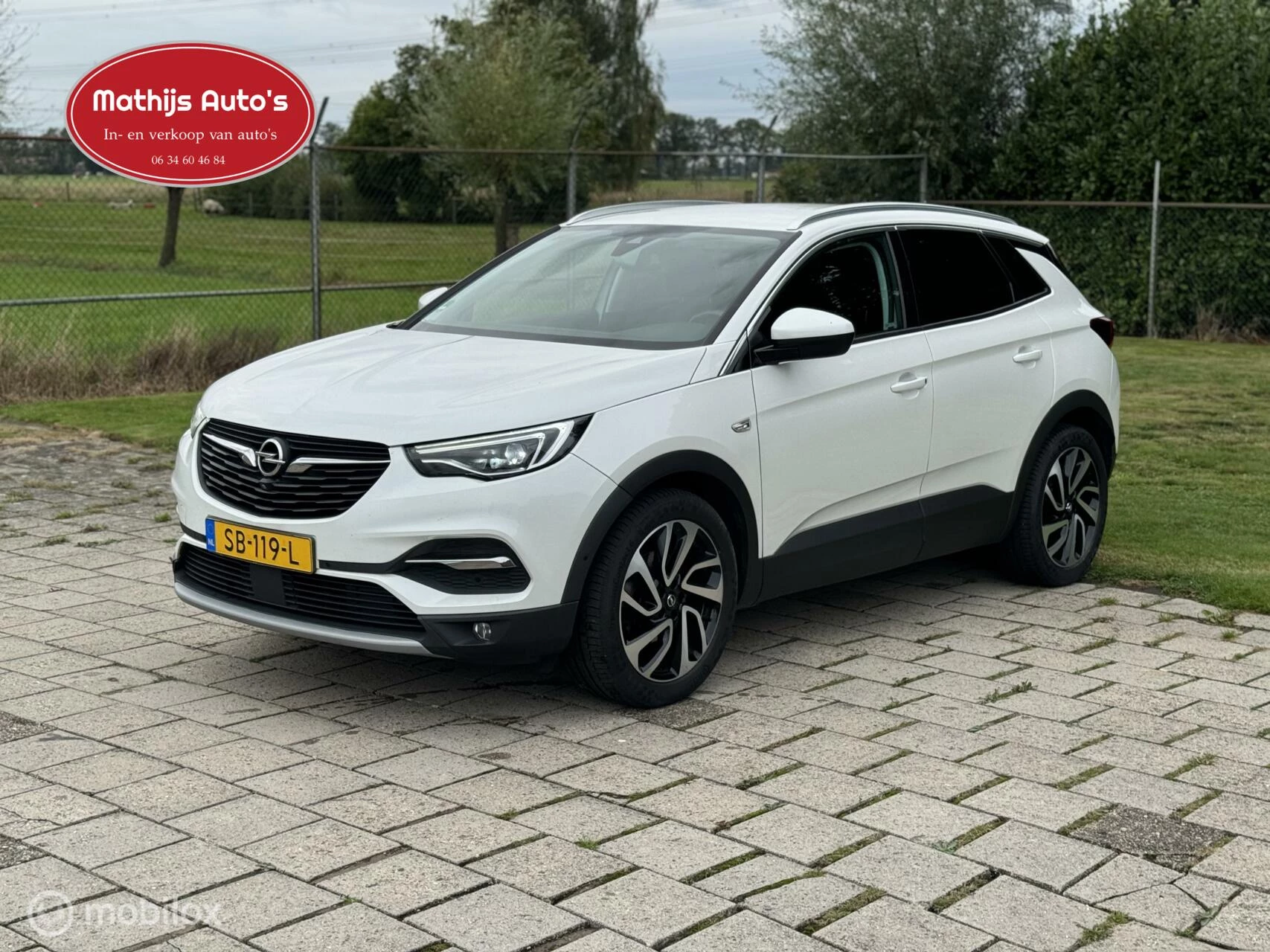 Hoofdafbeelding Opel Grandland X