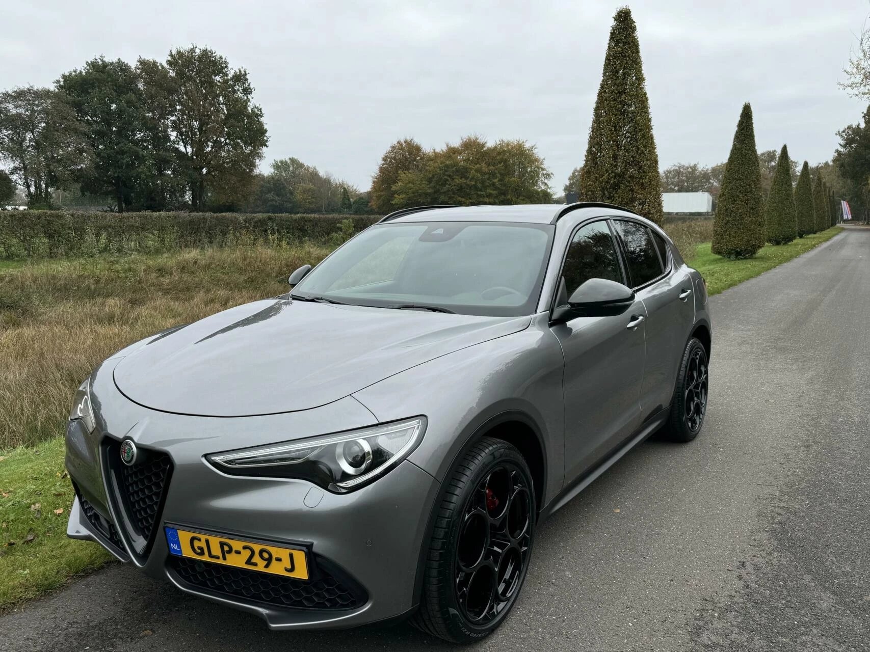 Hoofdafbeelding Alfa Romeo Stelvio