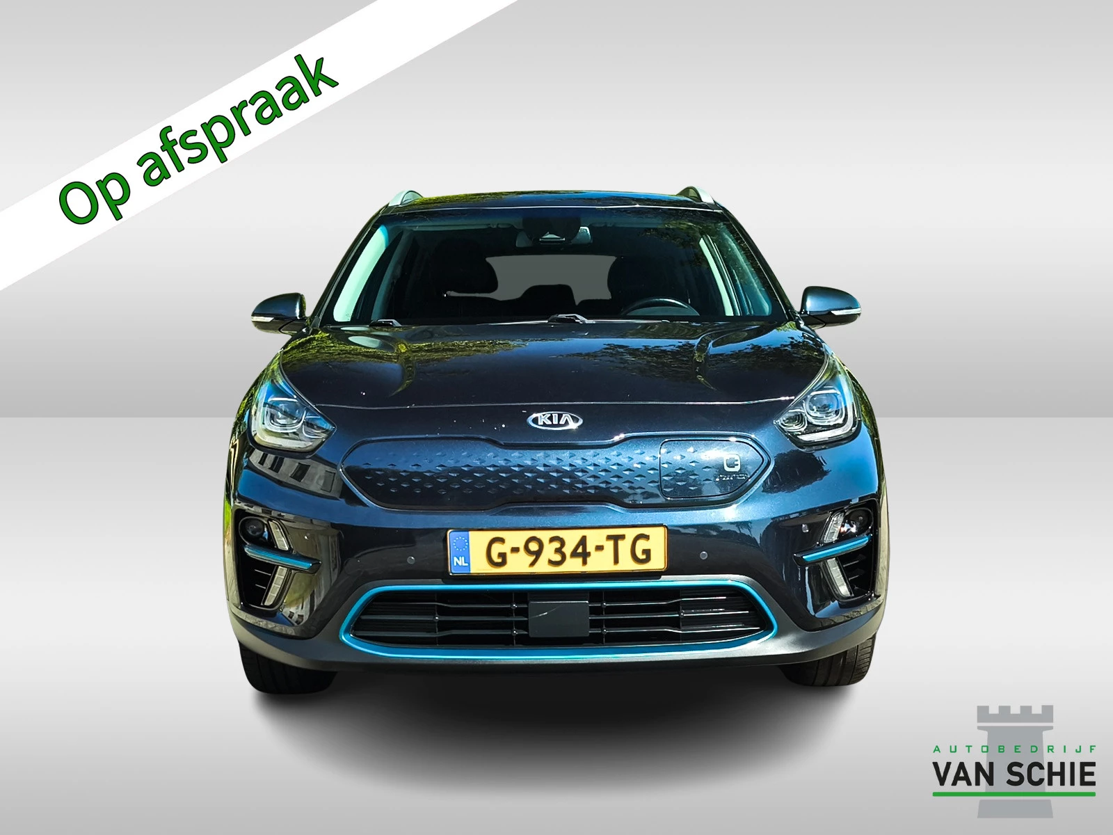 Hoofdafbeelding Kia e-Niro