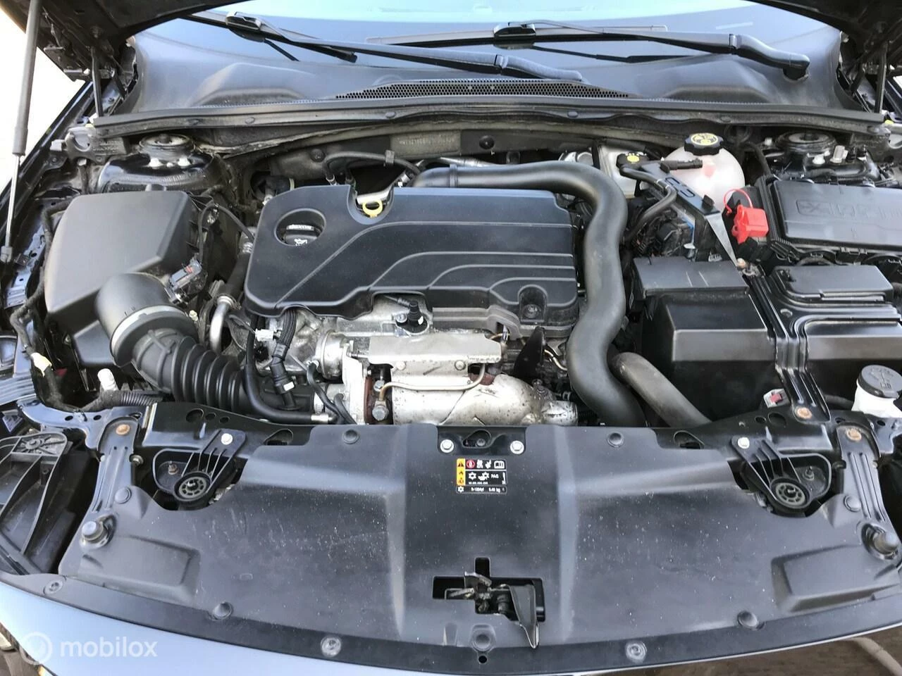 Hoofdafbeelding Opel Insignia
