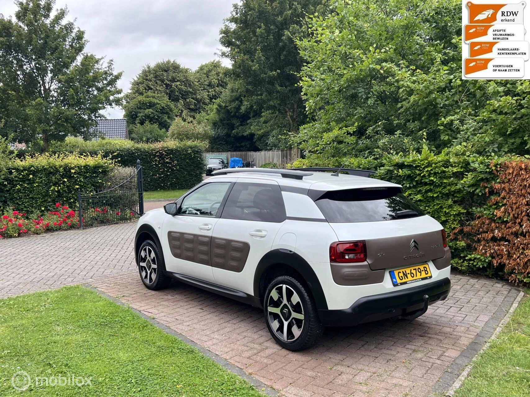 Hoofdafbeelding Citroën C4 Cactus