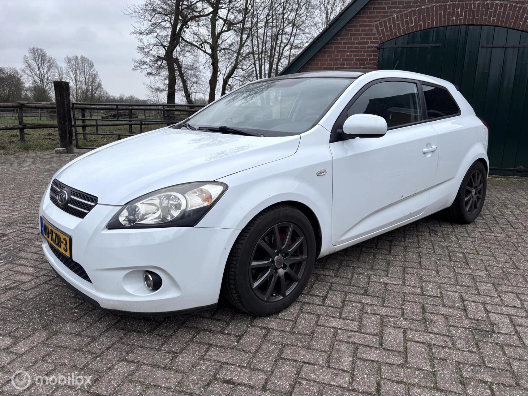 Hoofdafbeelding Kia pro_cee'd