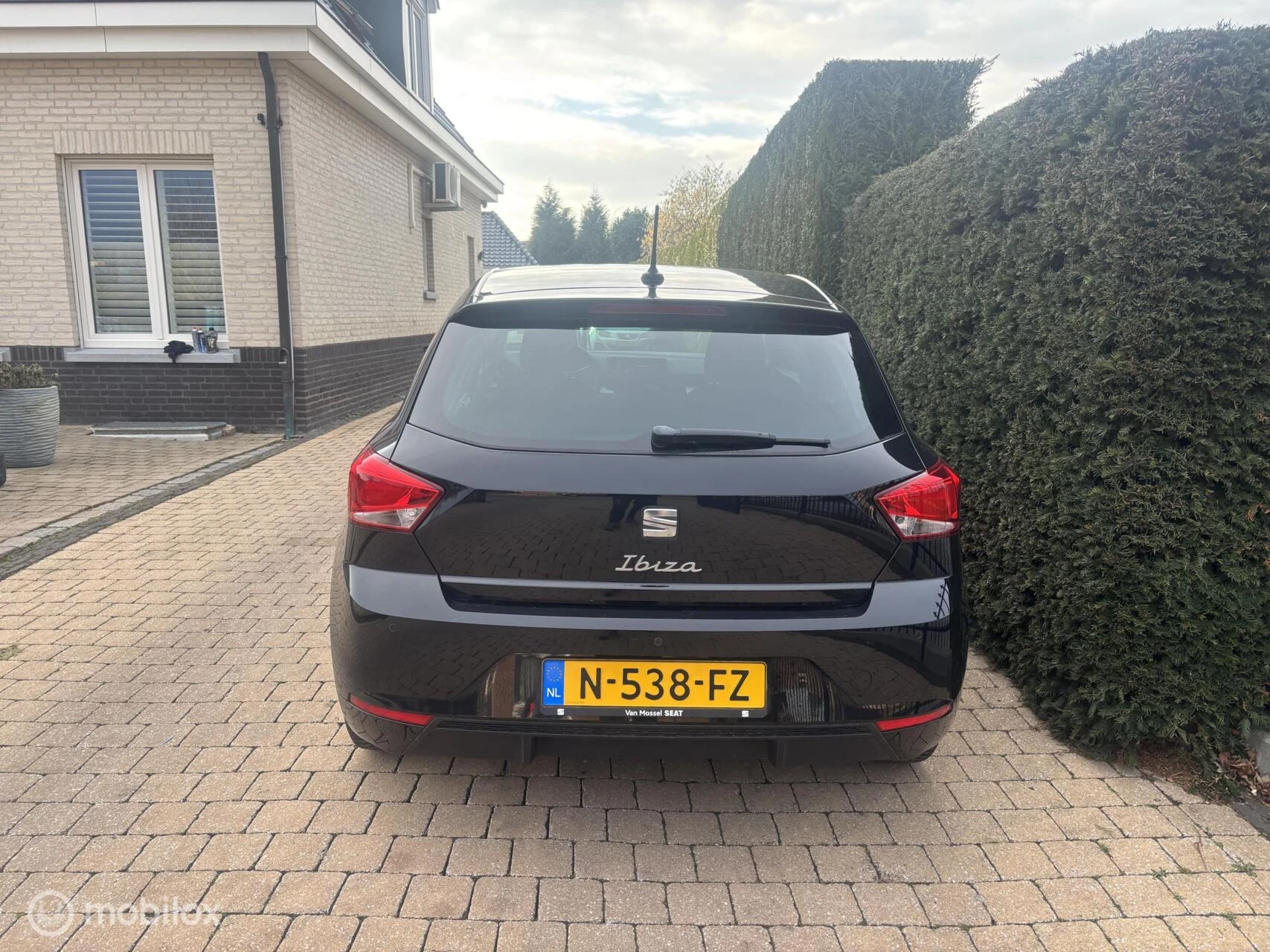 Hoofdafbeelding SEAT Ibiza