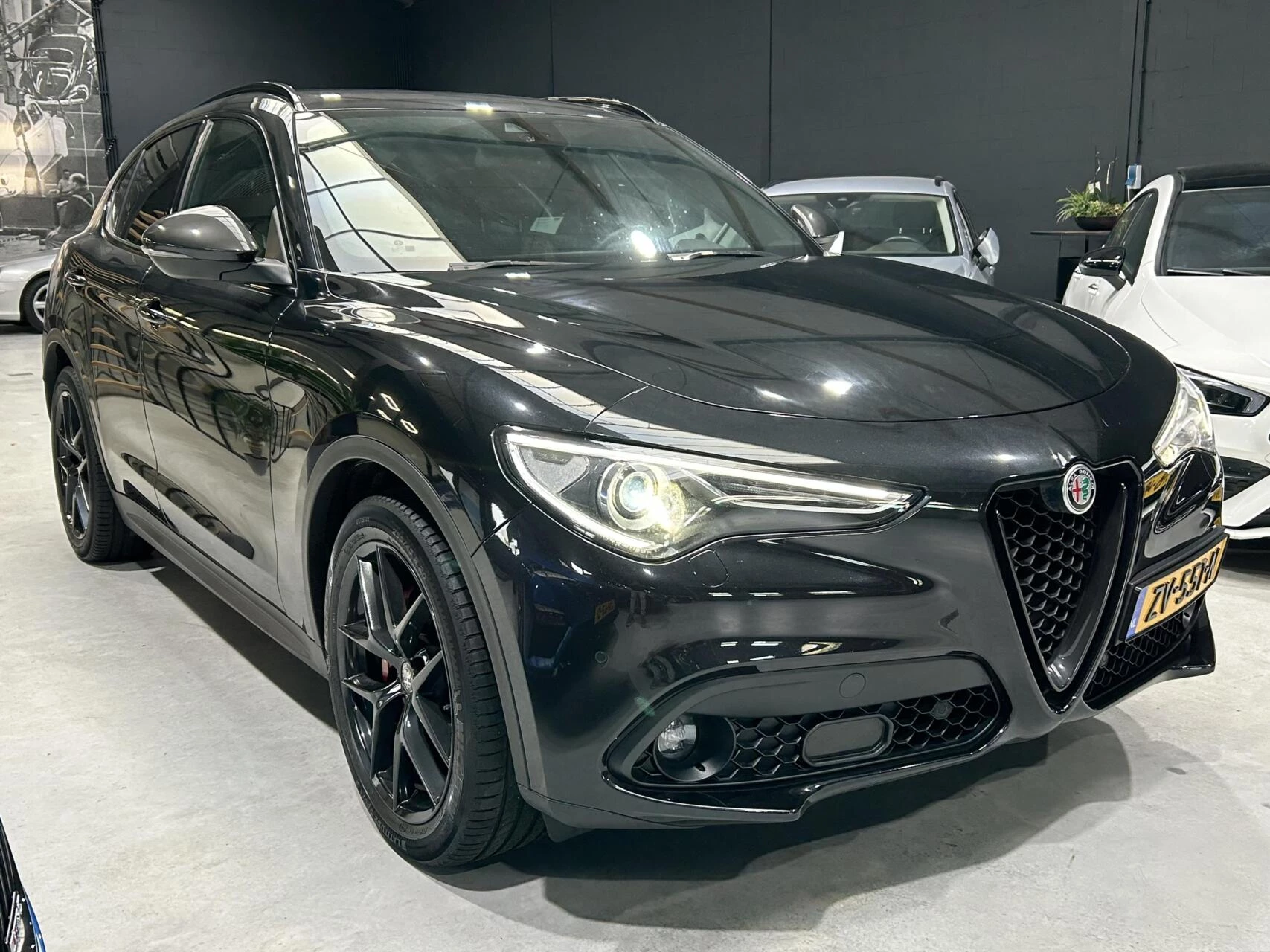 Hoofdafbeelding Alfa Romeo Stelvio